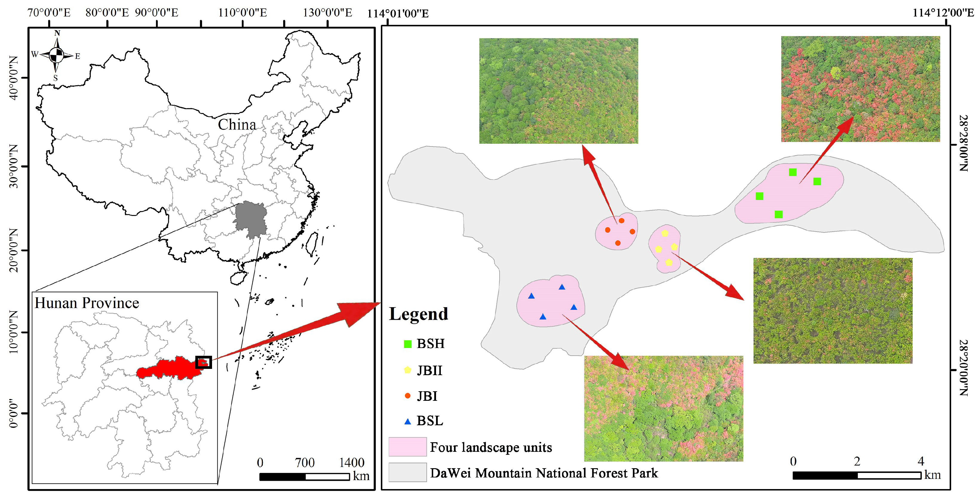 Horticulturae 11 00898 g002