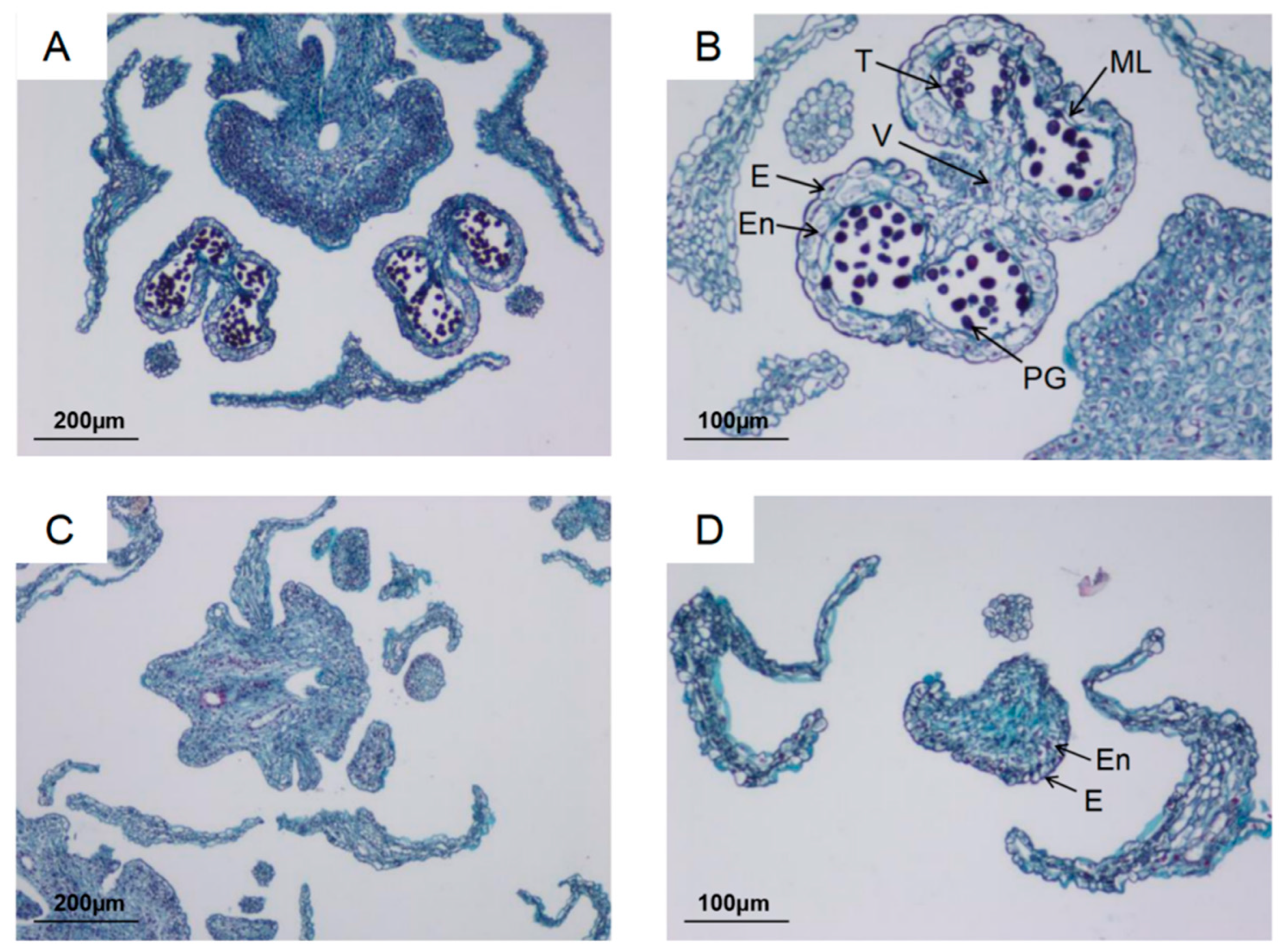 Horticulturae 11 00901 g002