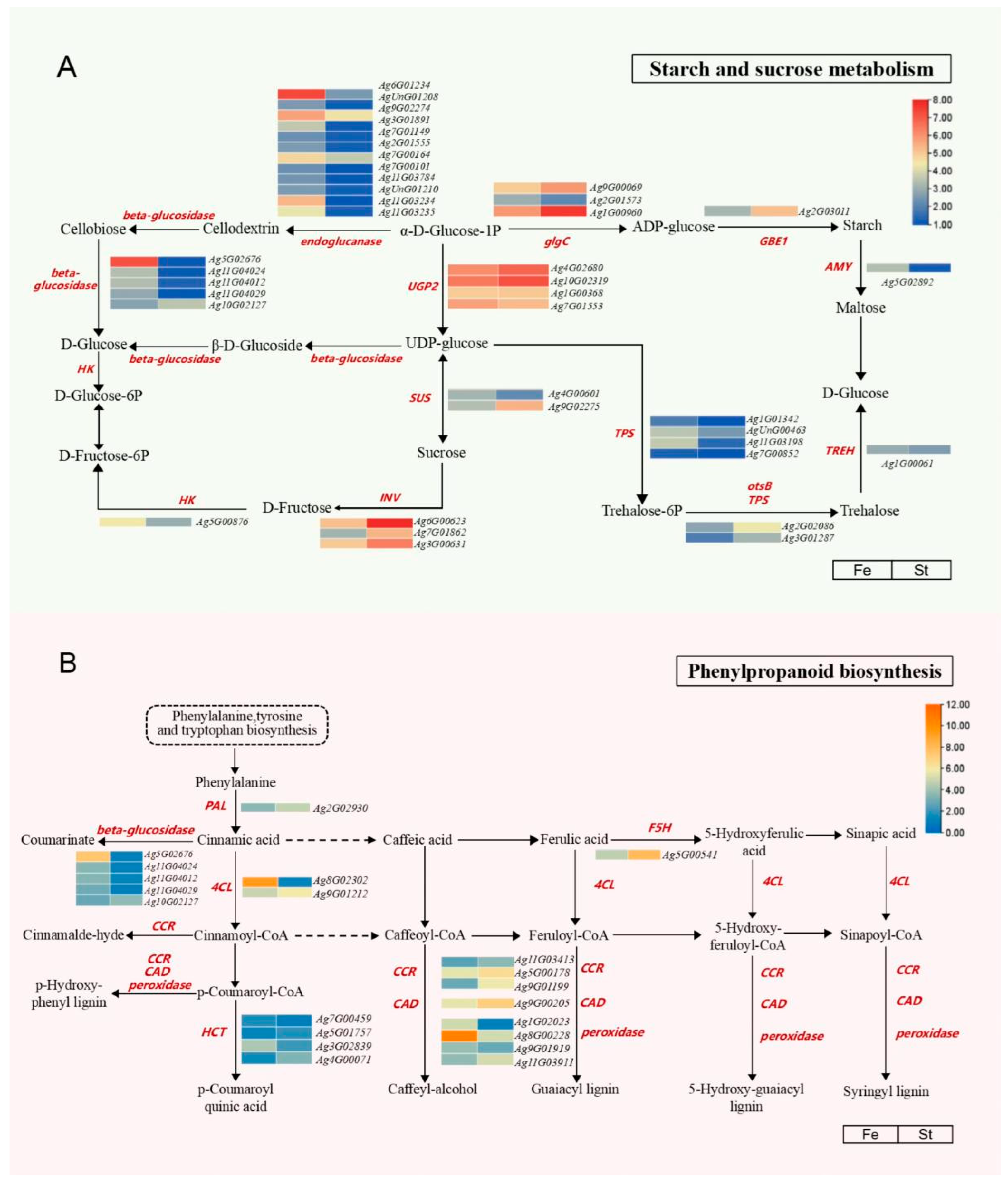 Horticulturae 11 00901 g005