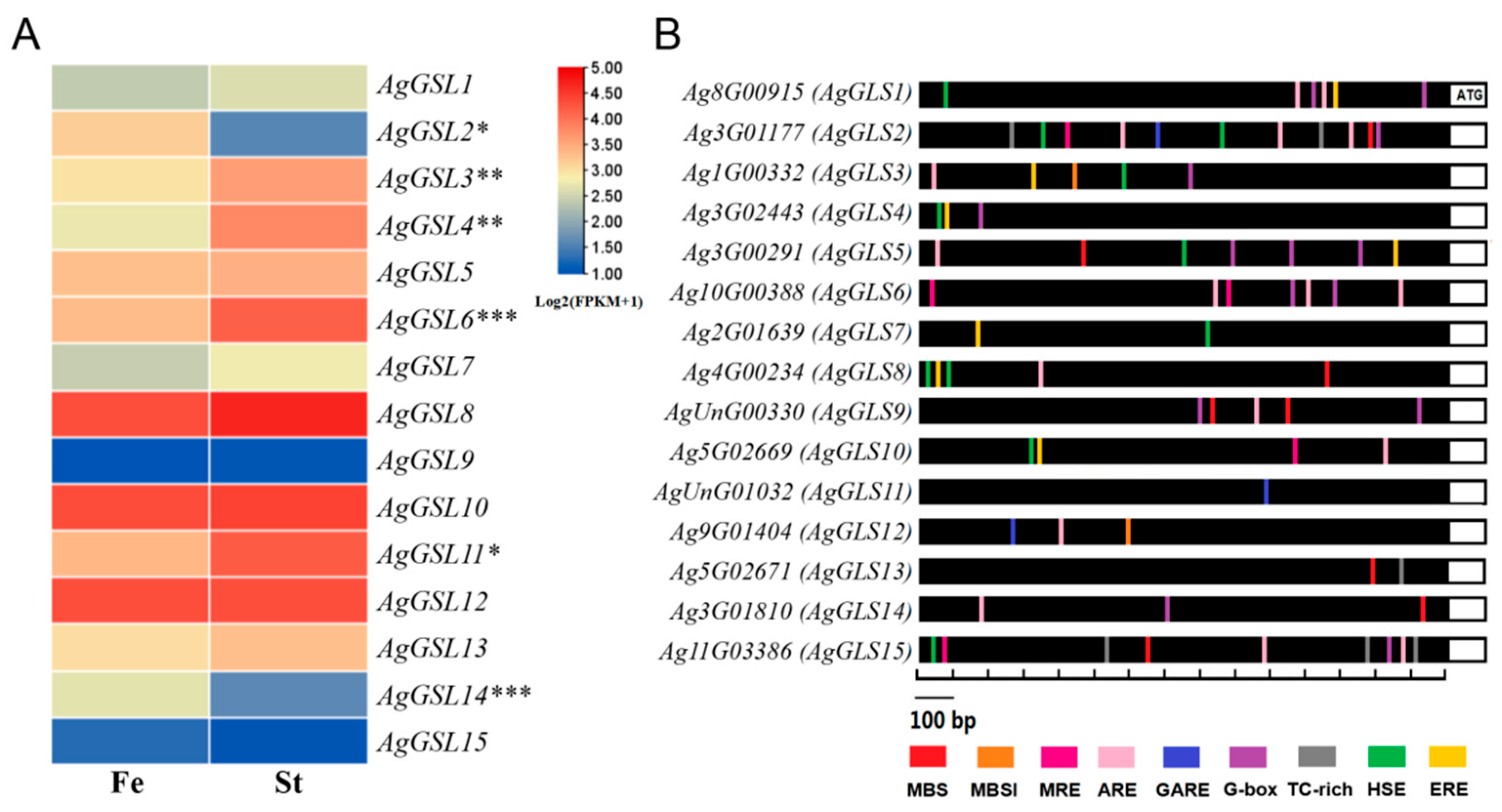 Horticulturae 11 00901 g007