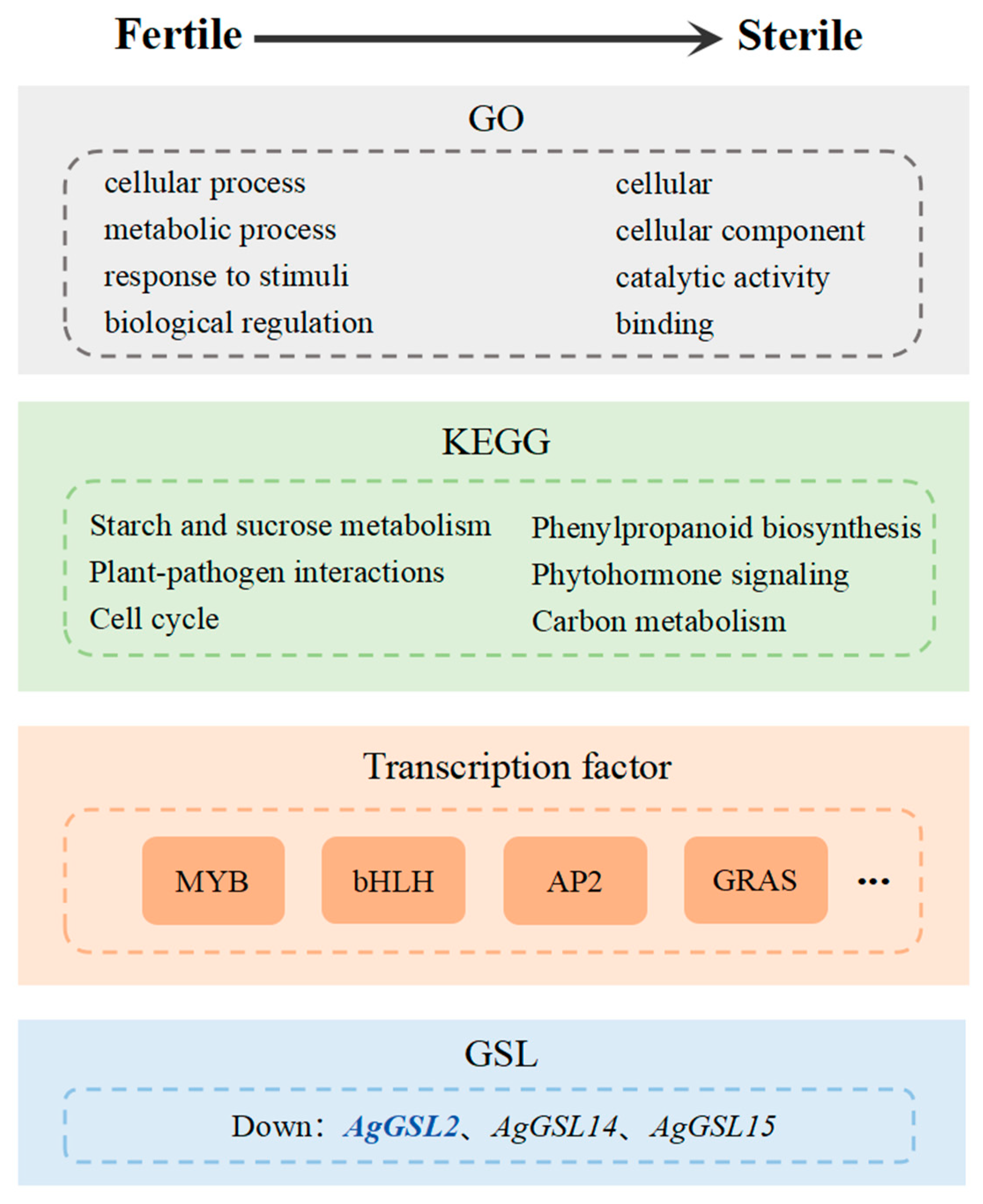 Horticulturae 11 00901 g009