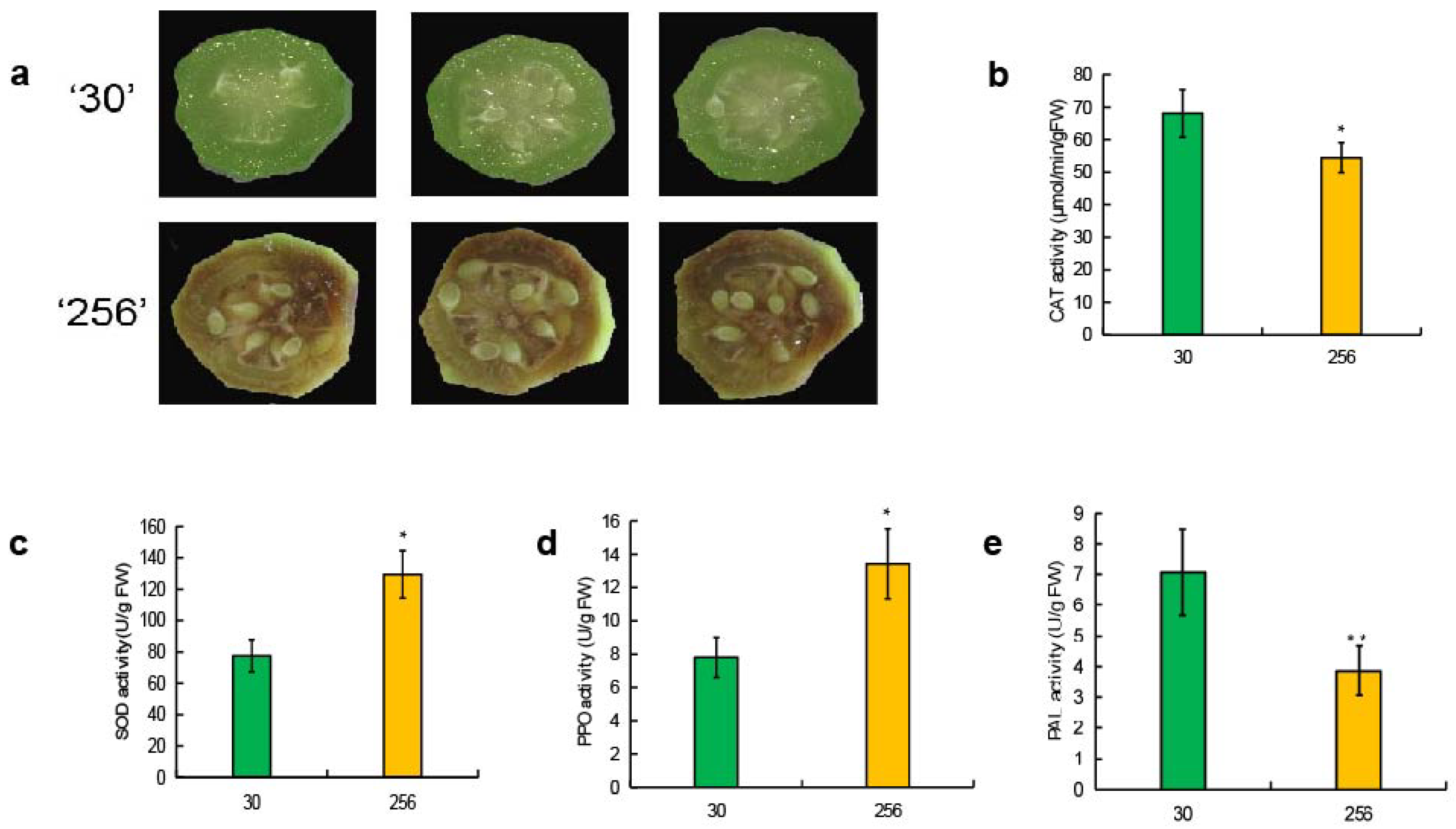 Horticulturae 11 00903 g001 Horticulturae 11 00903 g001