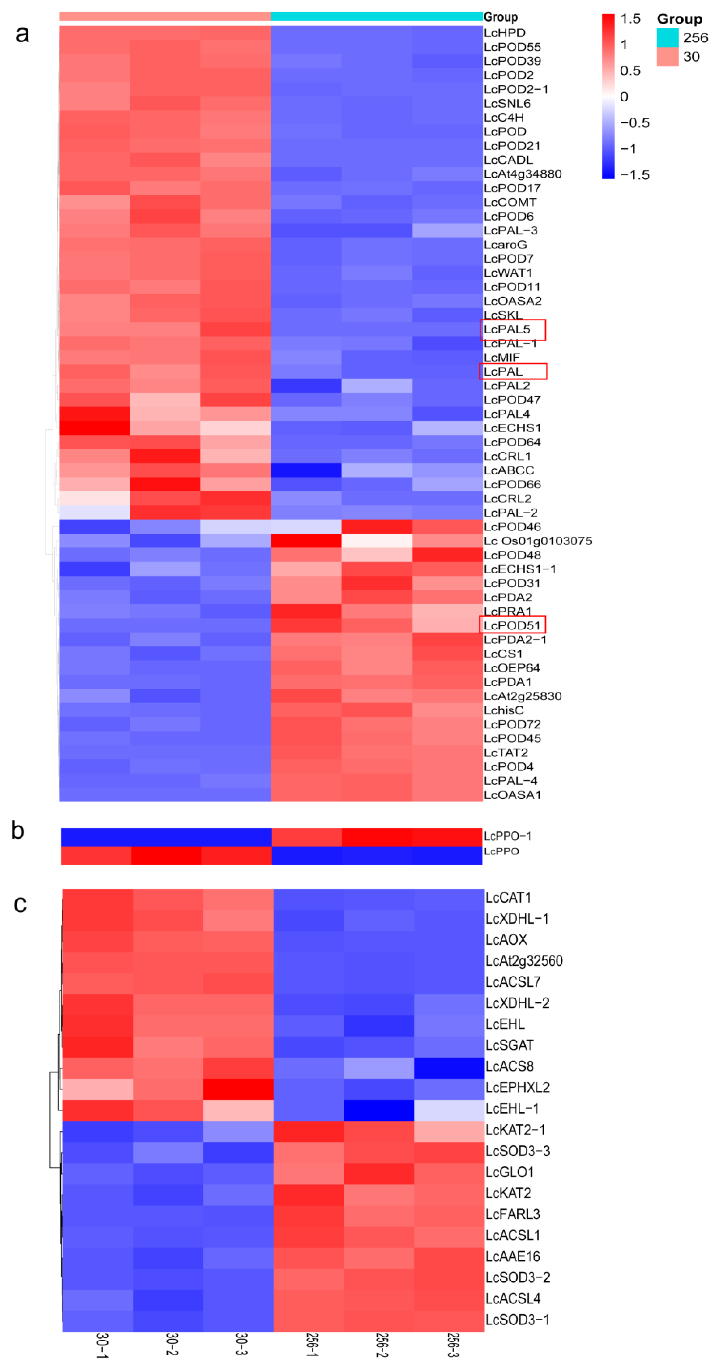 Horticulturae 11 00903 g005 Horticulturae 11 00903 g005