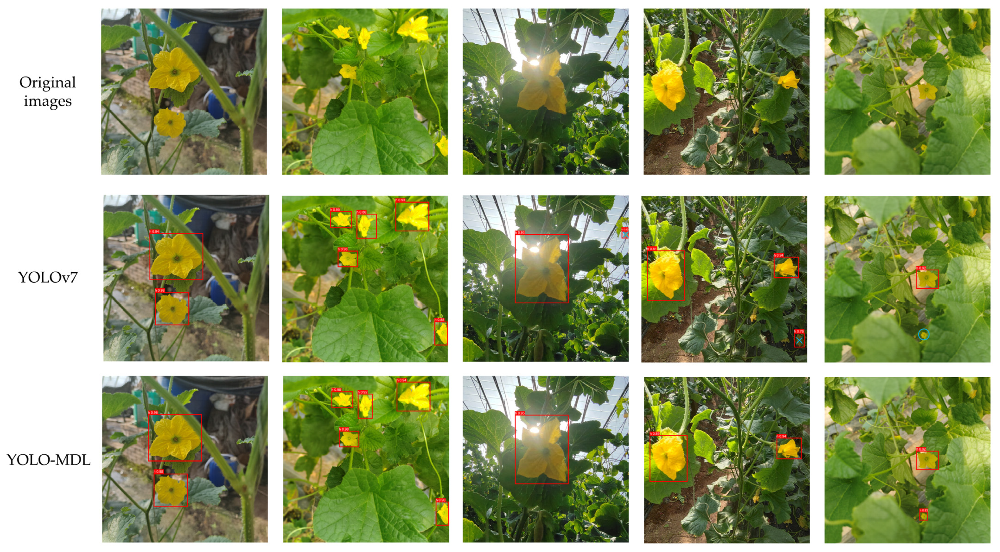 Horticulturae 11 00905 g013