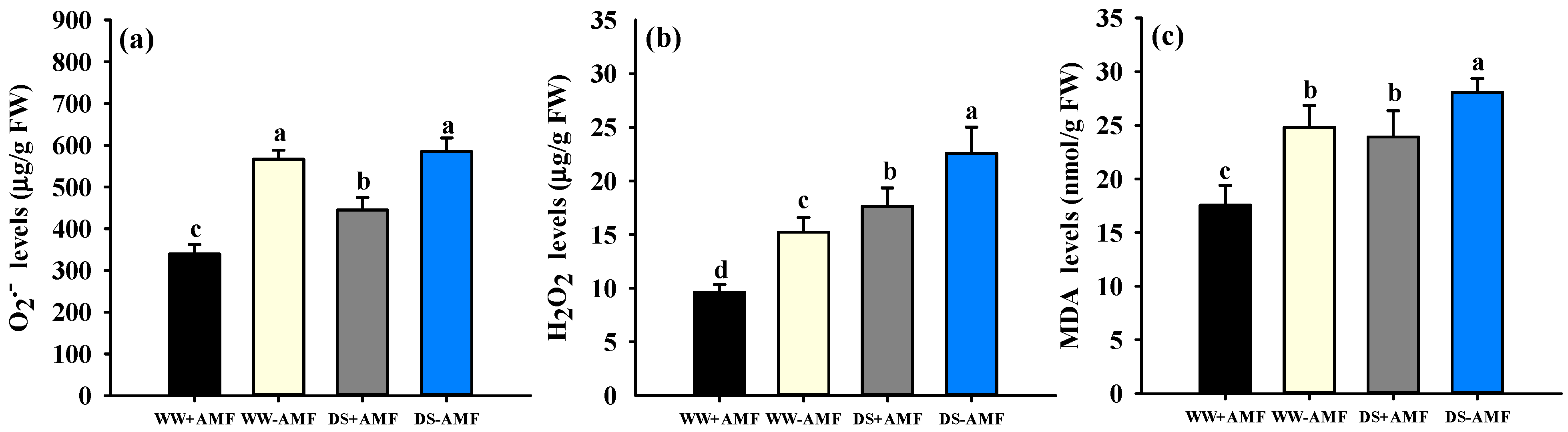 Horticulturae 11 00910 g004