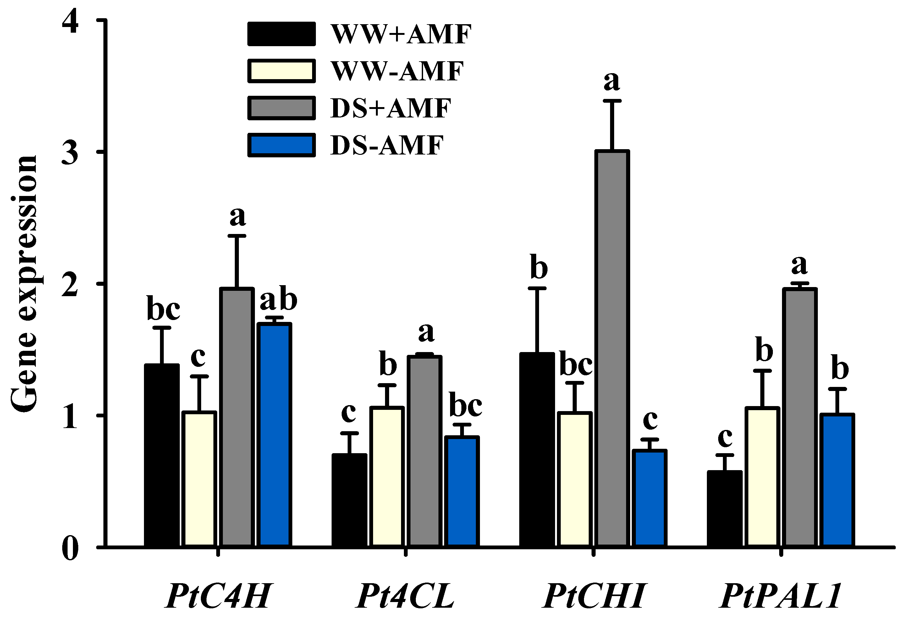 Horticulturae 11 00910 g006