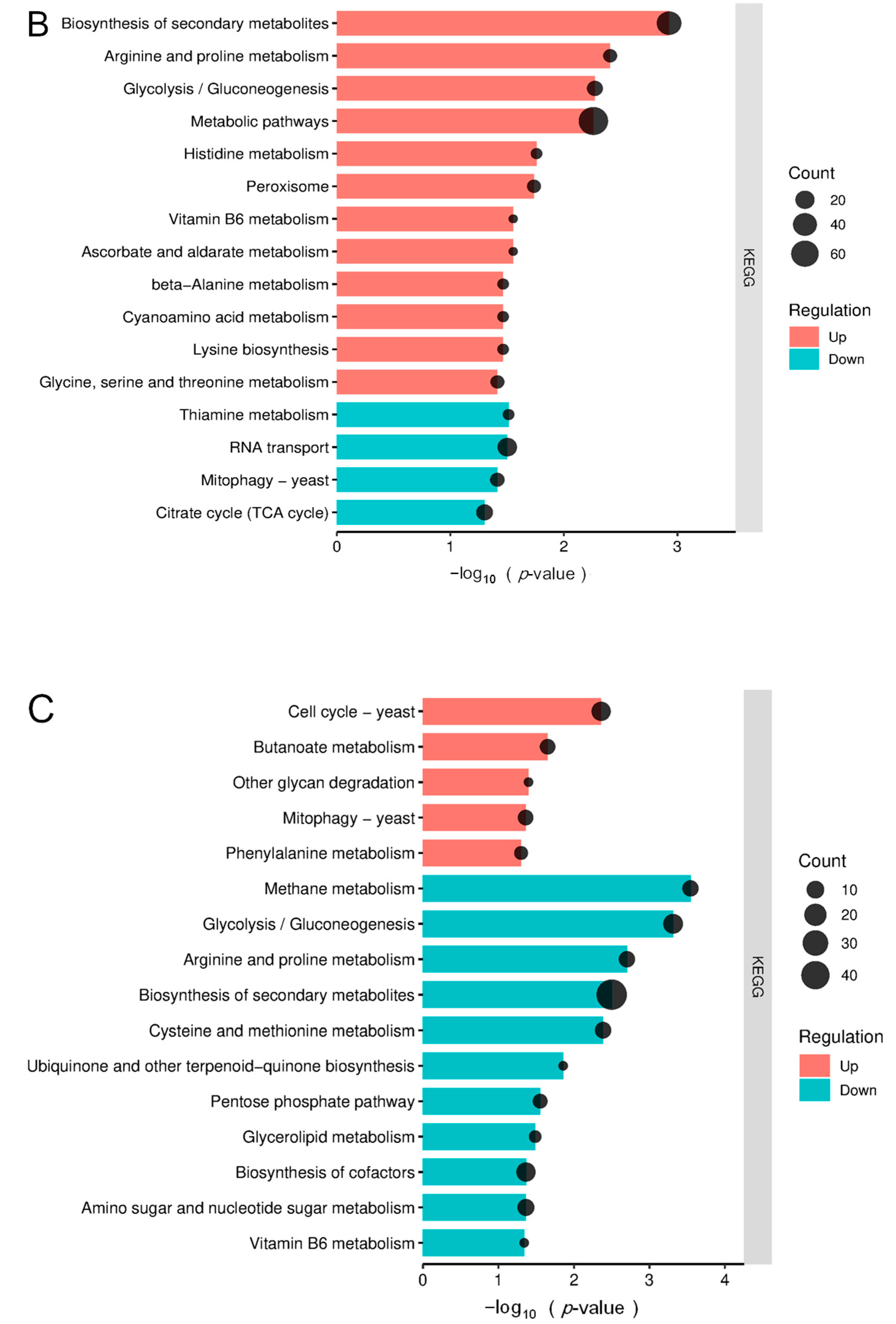 Horticulturae 11 00912 g005b