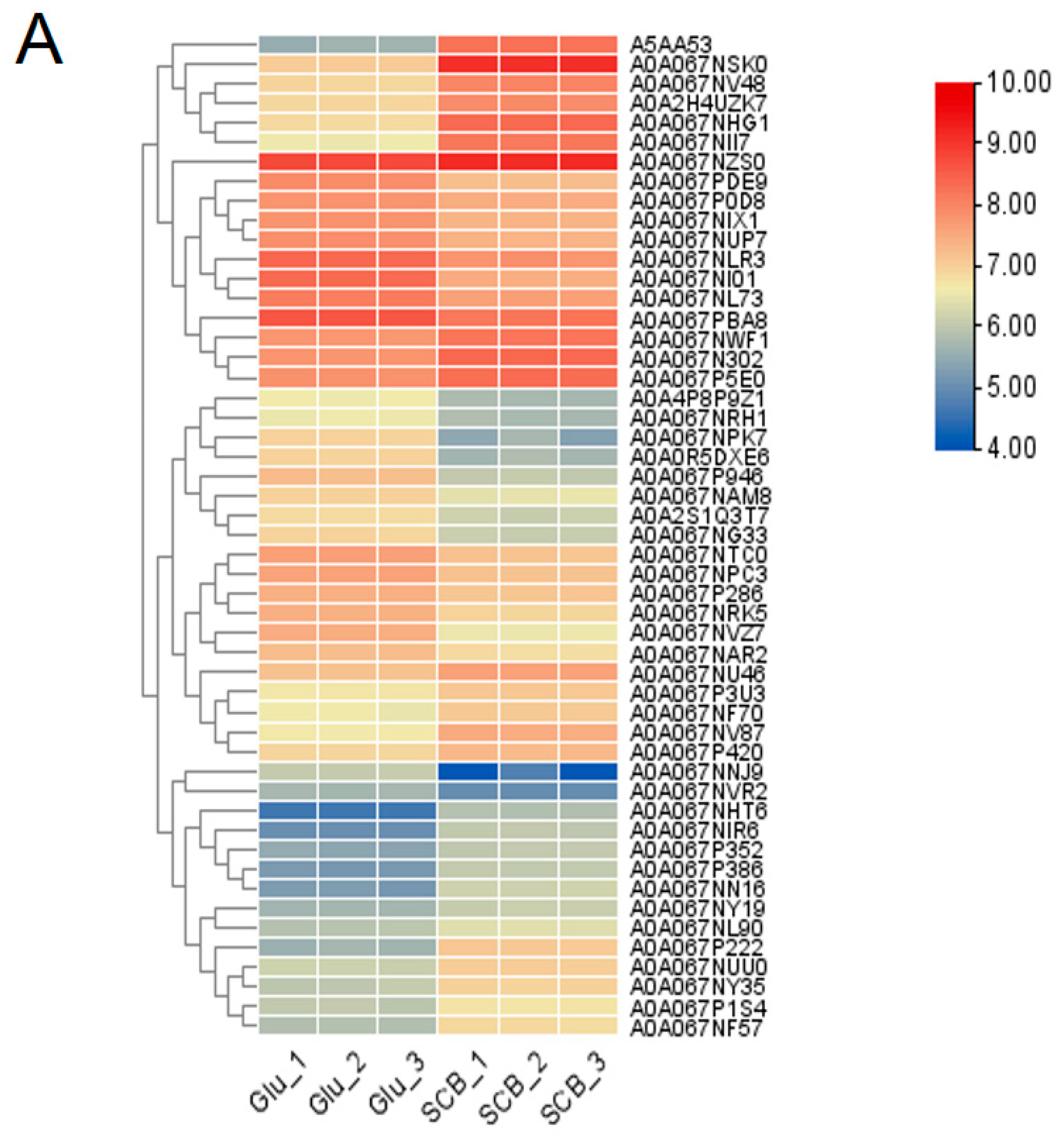 Horticulturae 11 00912 g006a