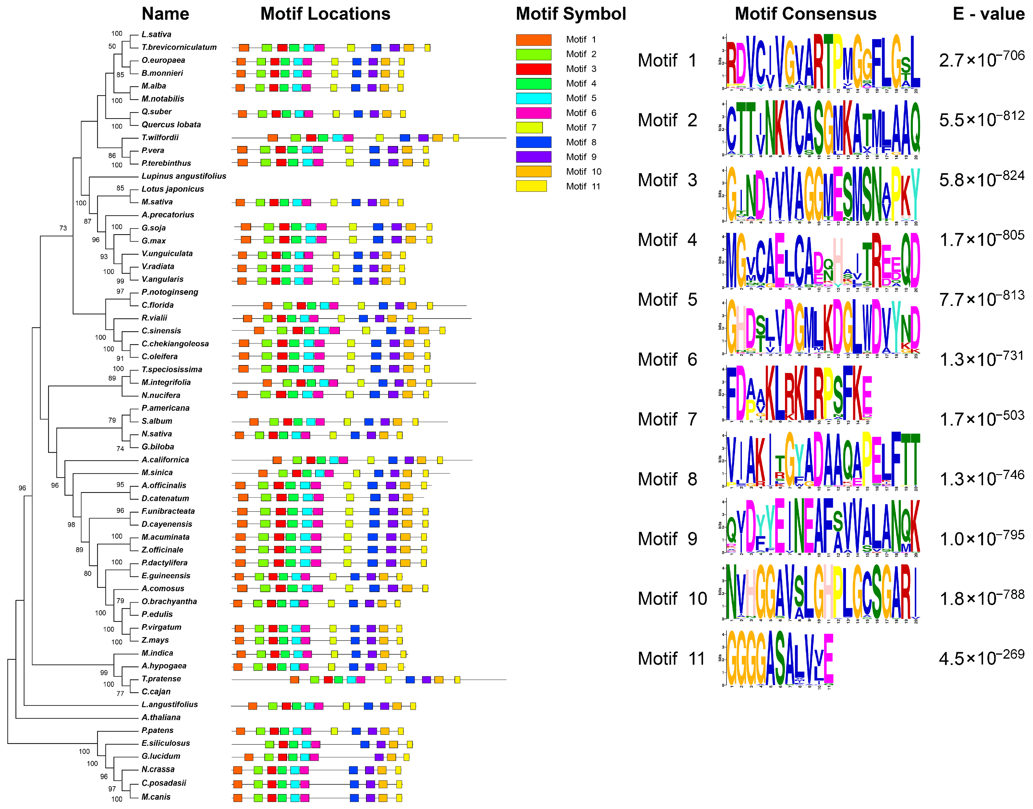 Horticulturae 11 00913 g002 Horticulturae 11 00913 g002