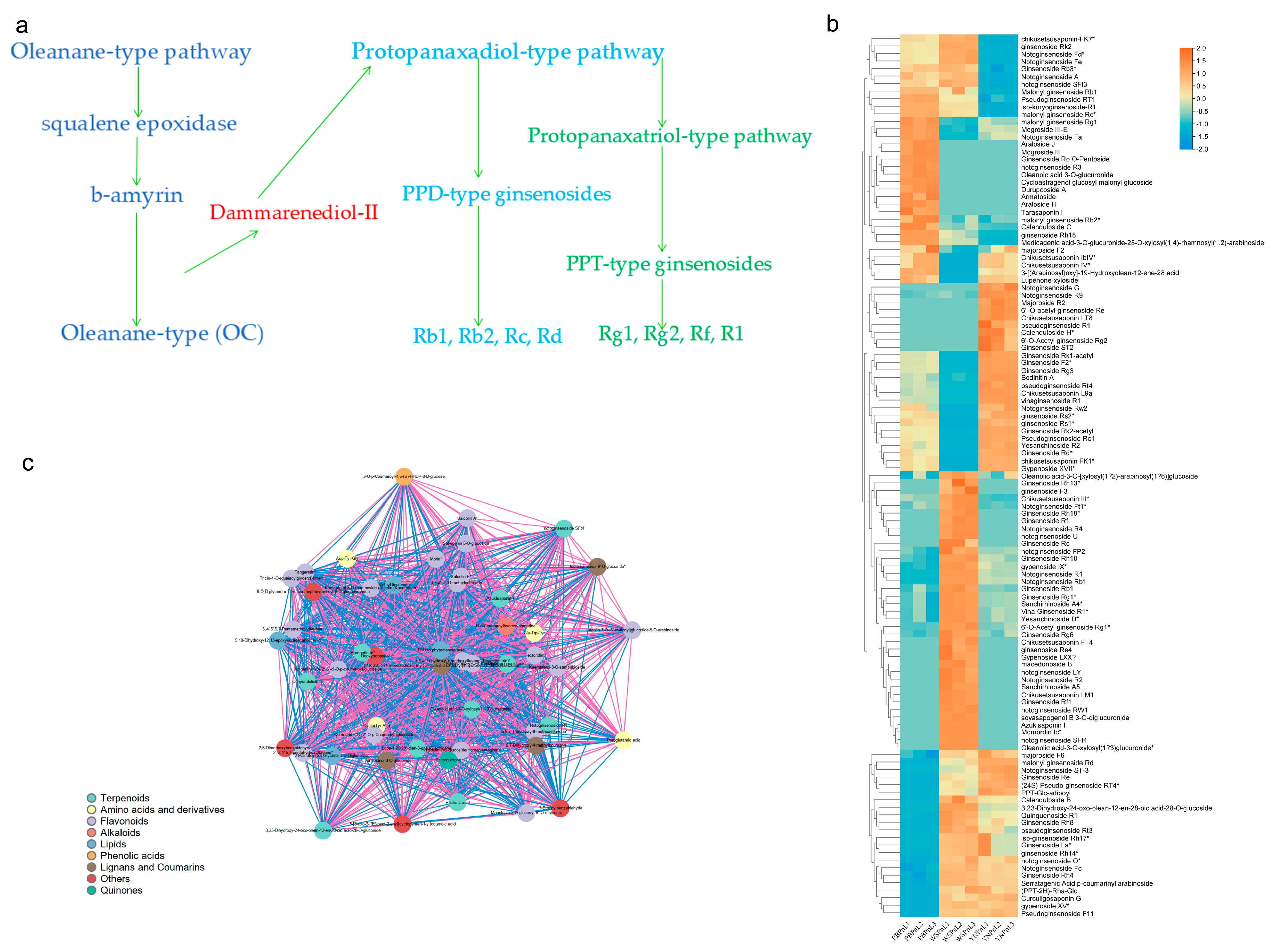 Horticulturae 11 00916 g007 Horticulturae 11 00916 g007
