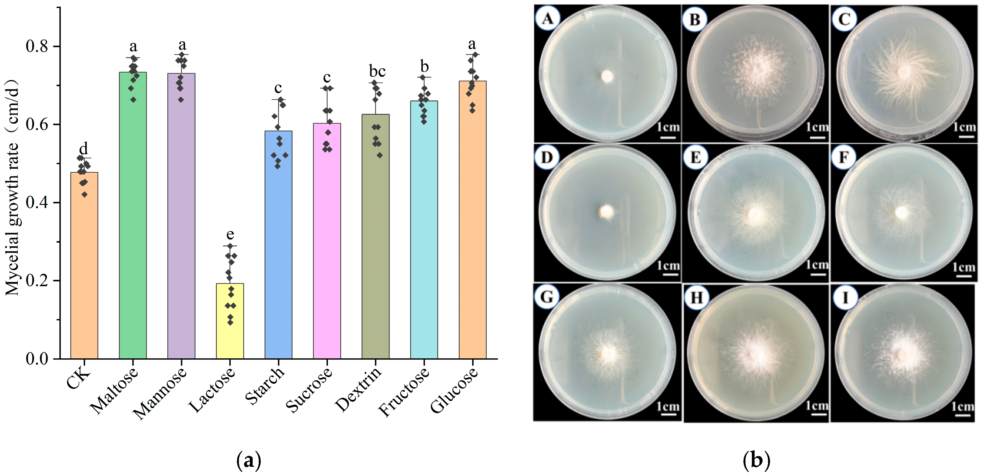 Horticulturae 11 00917 g002 Horticulturae 11 00917 g002