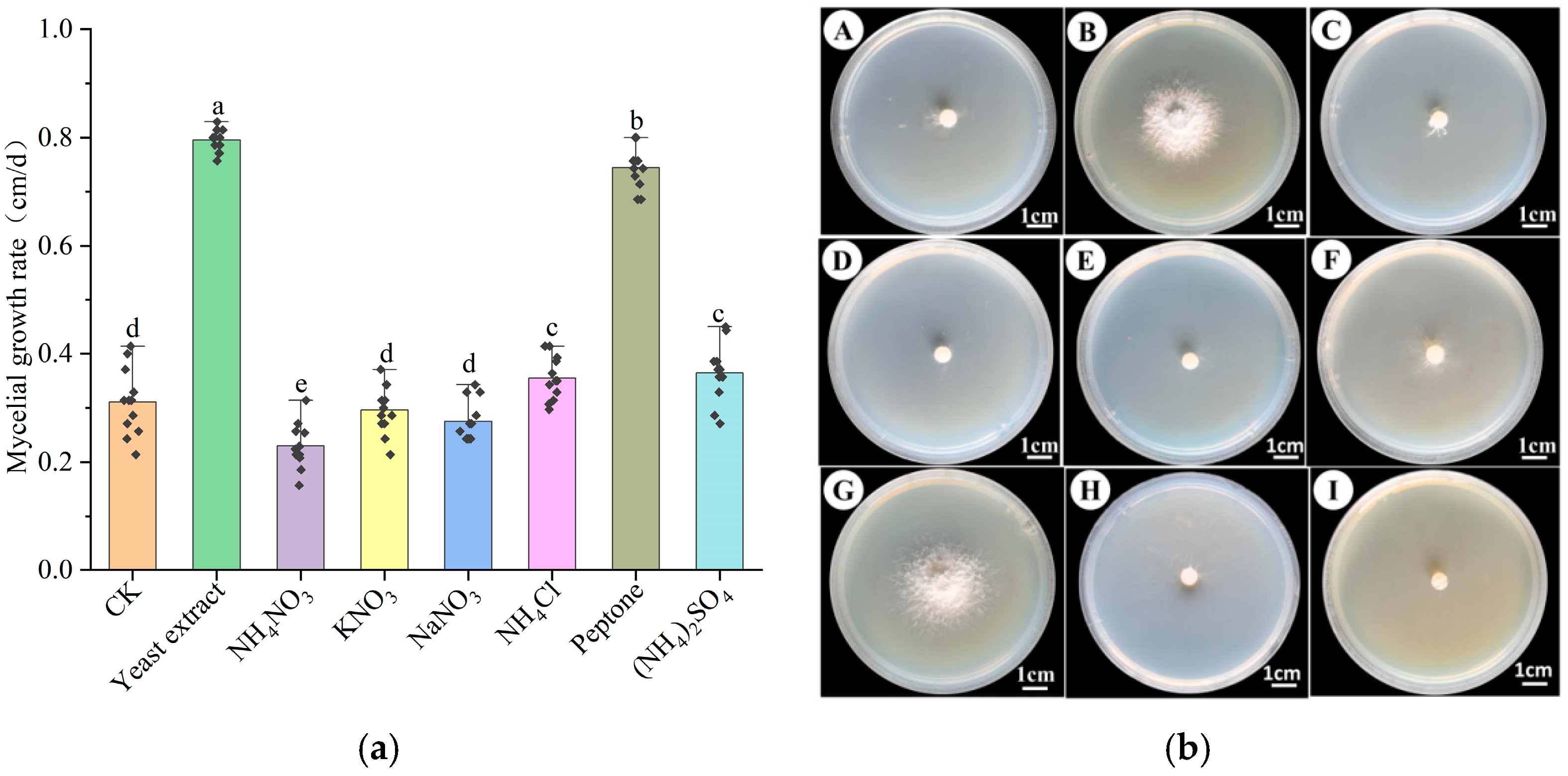 Horticulturae 11 00917 g003 Horticulturae 11 00917 g003