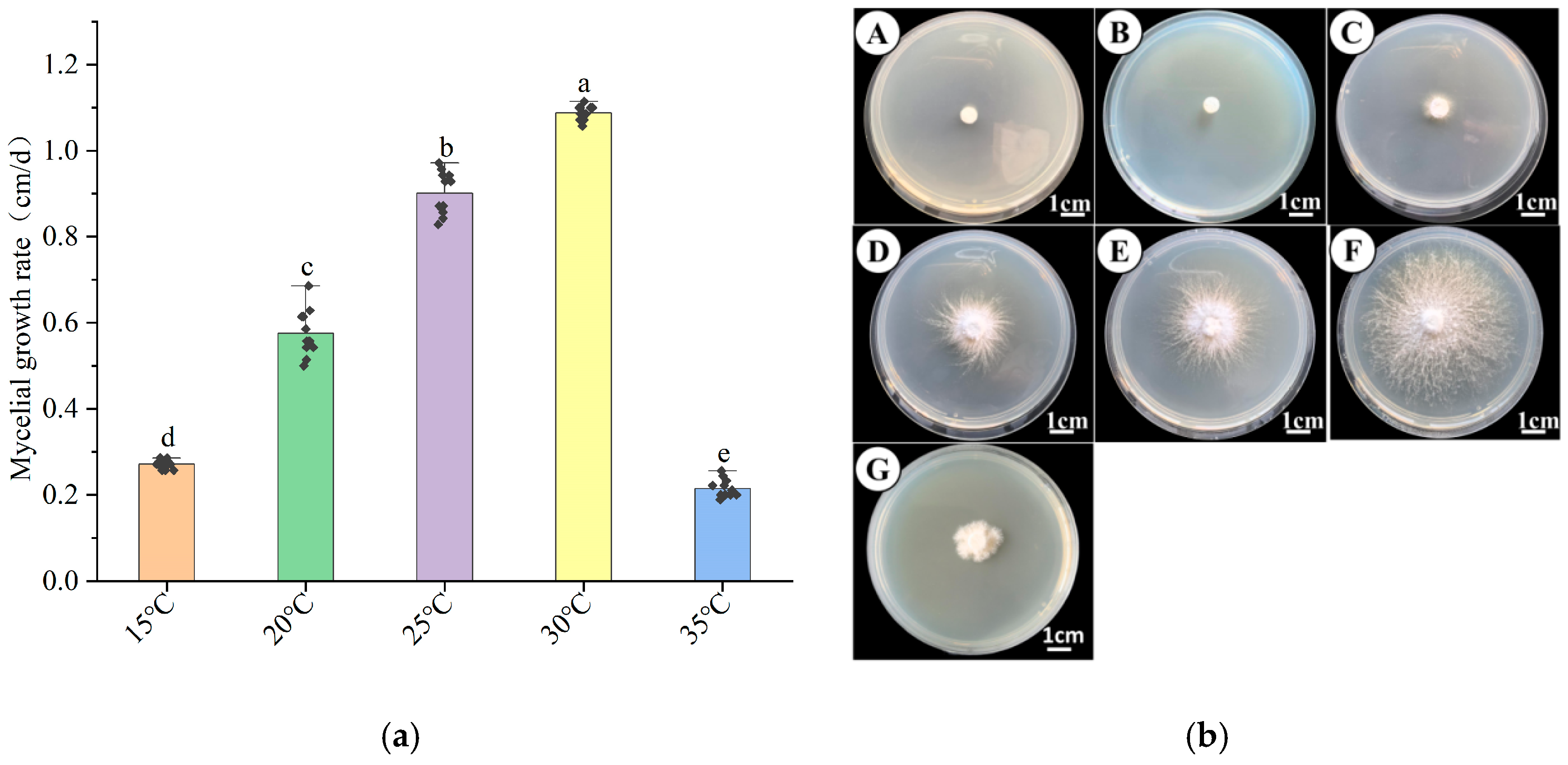 Horticulturae 11 00917 g004 Horticulturae 11 00917 g004