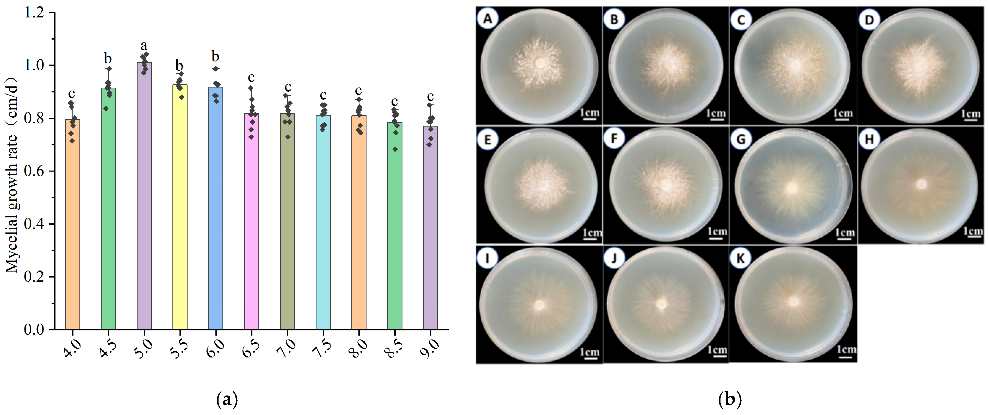 Horticulturae 11 00917 g005 Horticulturae 11 00917 g005