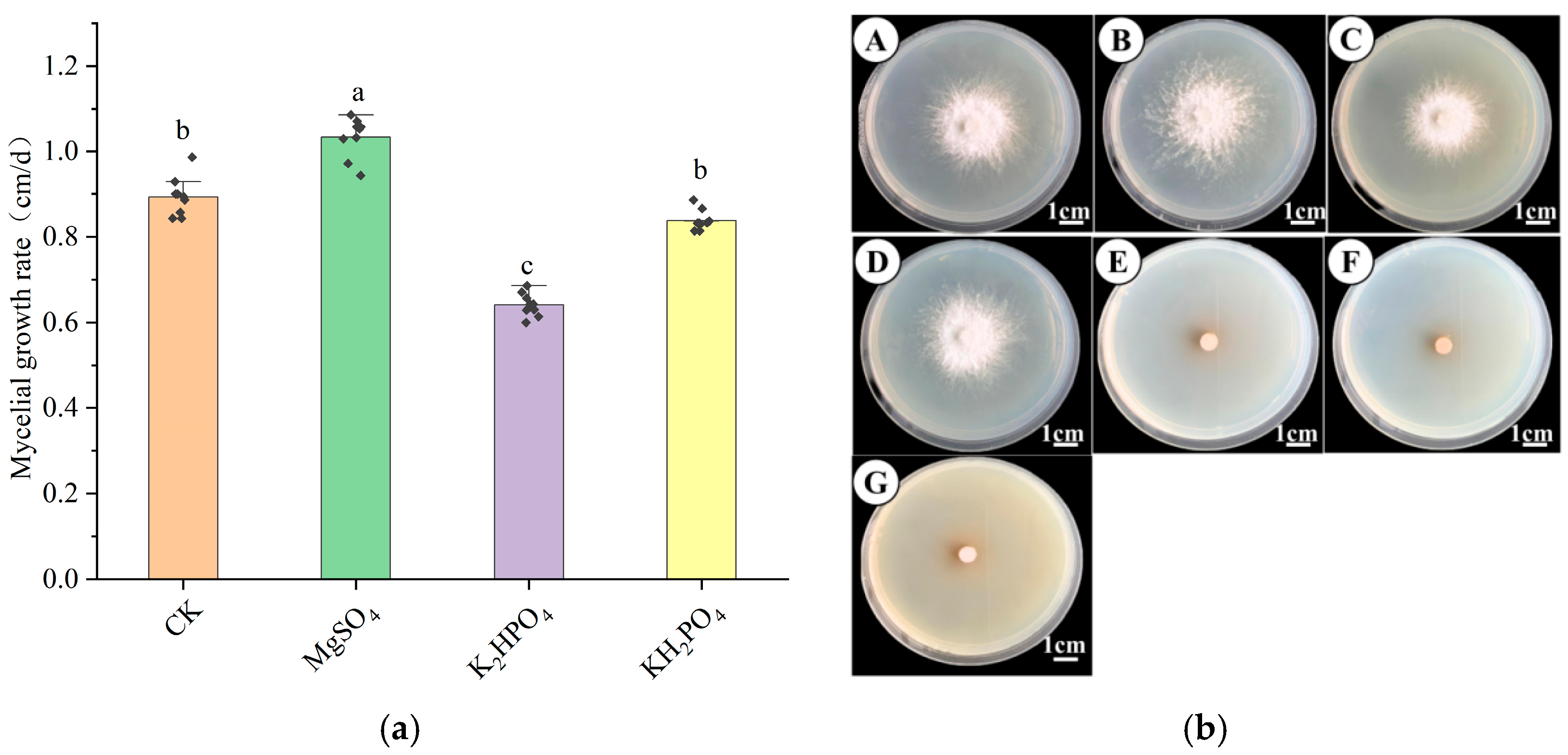 Horticulturae 11 00917 g006 Horticulturae 11 00917 g006