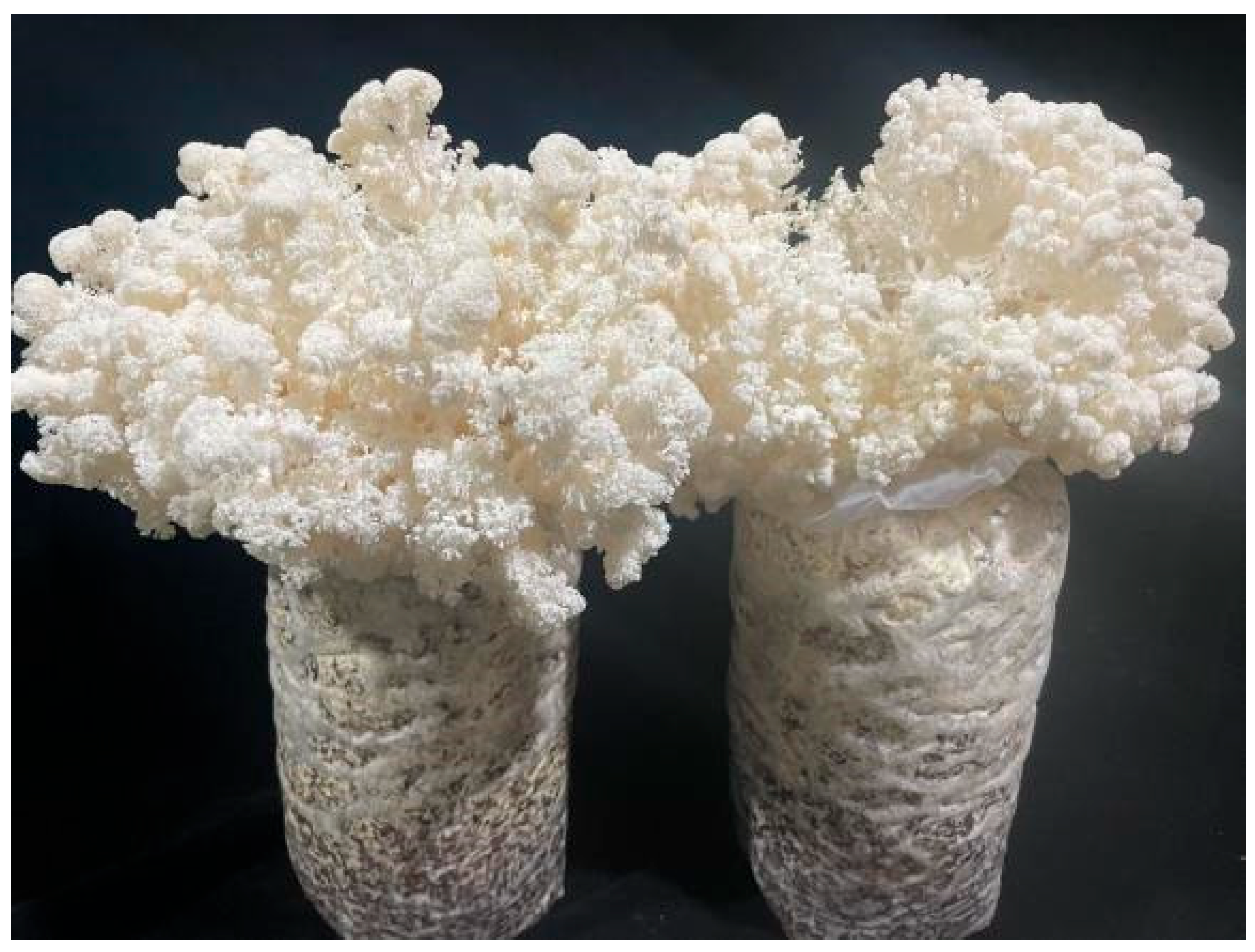 Horticulturae 11 00917 g008 Horticulturae 11 00917 g008