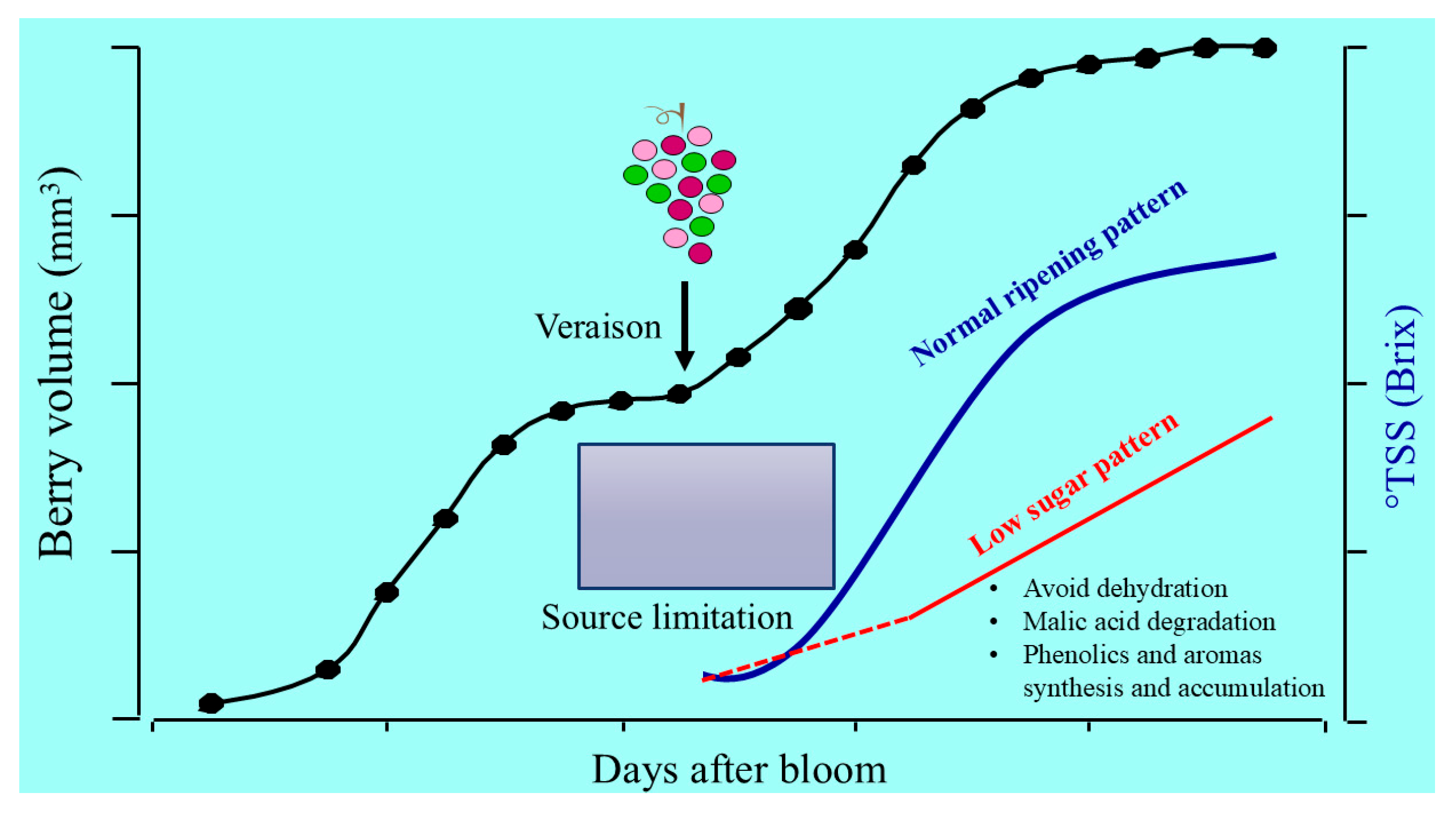 Horticulturae 11 00932 g001 Horticulturae 11 00932 g001