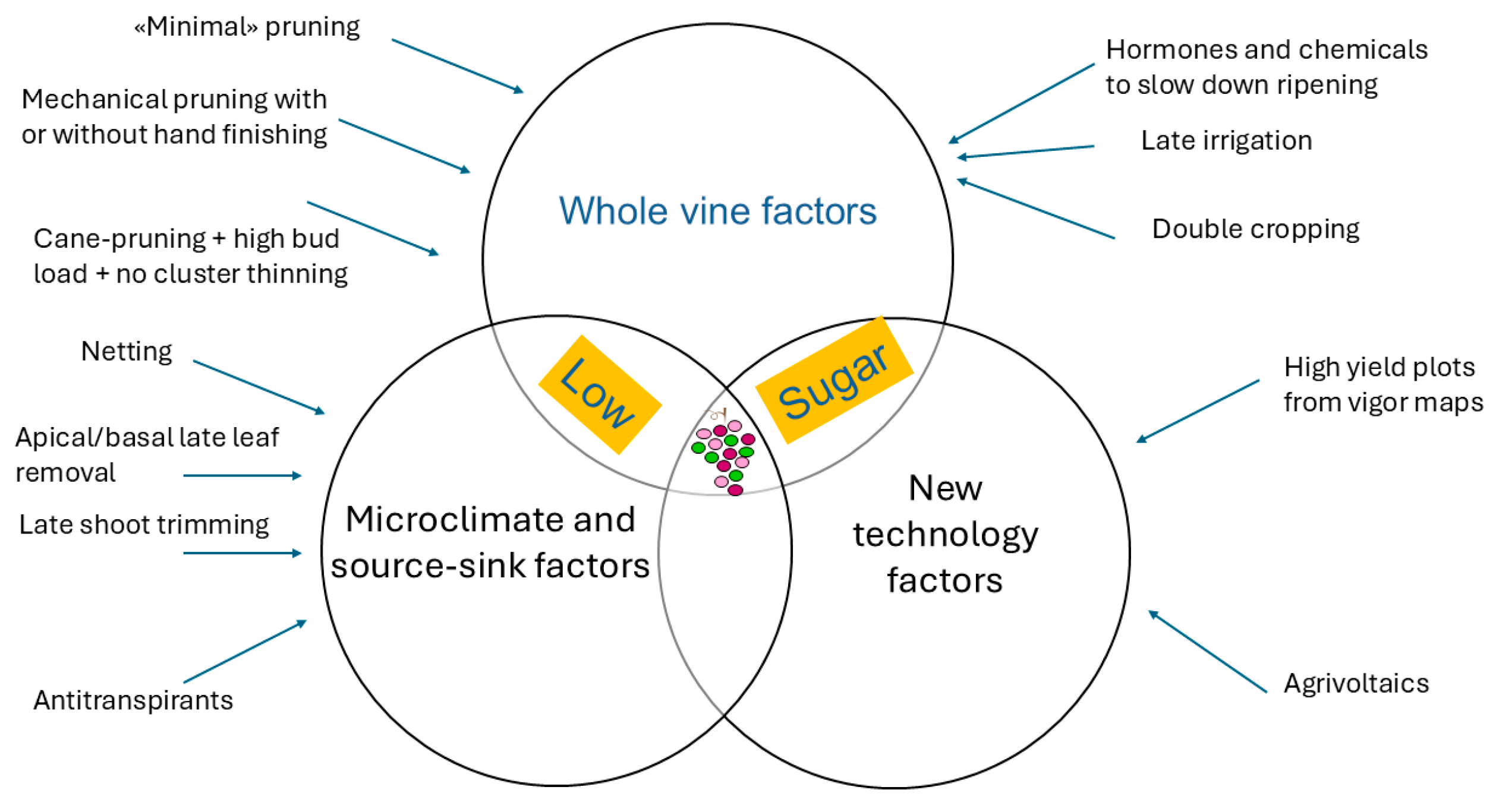 Horticulturae 11 00932 g004 Horticulturae 11 00932 g004