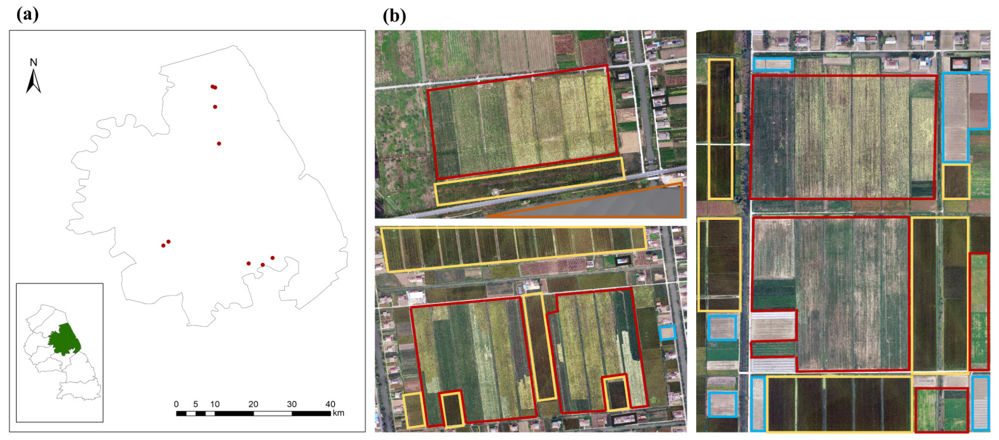 Horticulturae 11 00933 g002