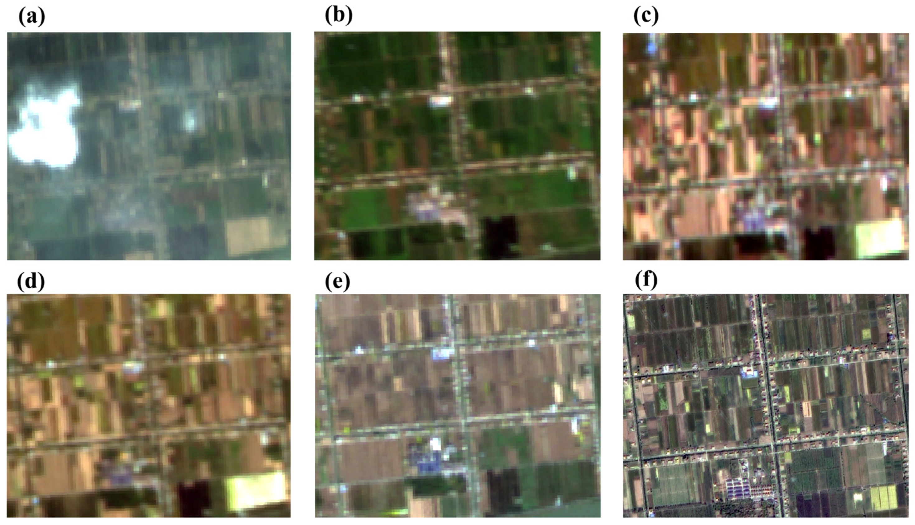 Horticulturae 11 00933 g003