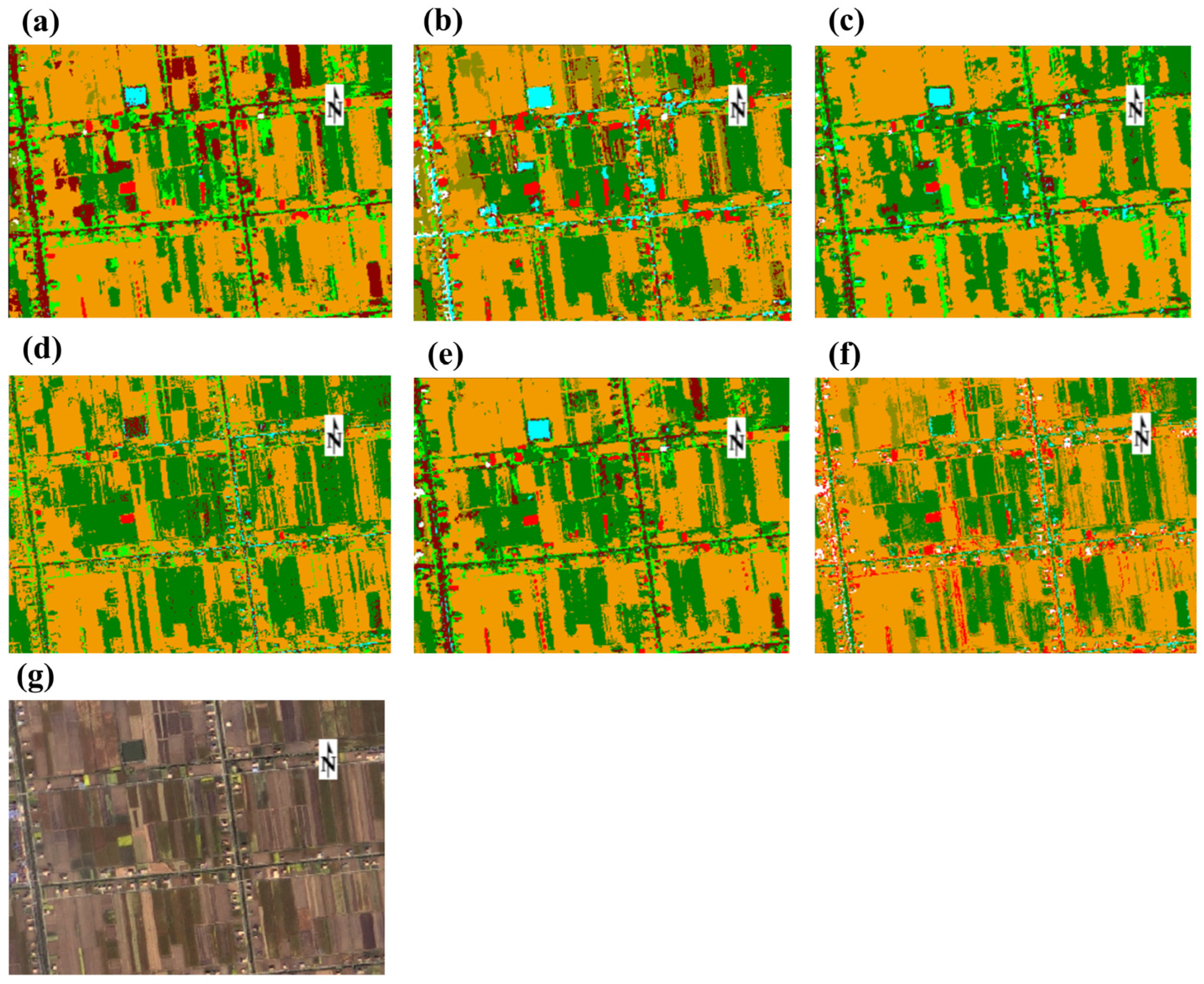 Horticulturae 11 00933 g005