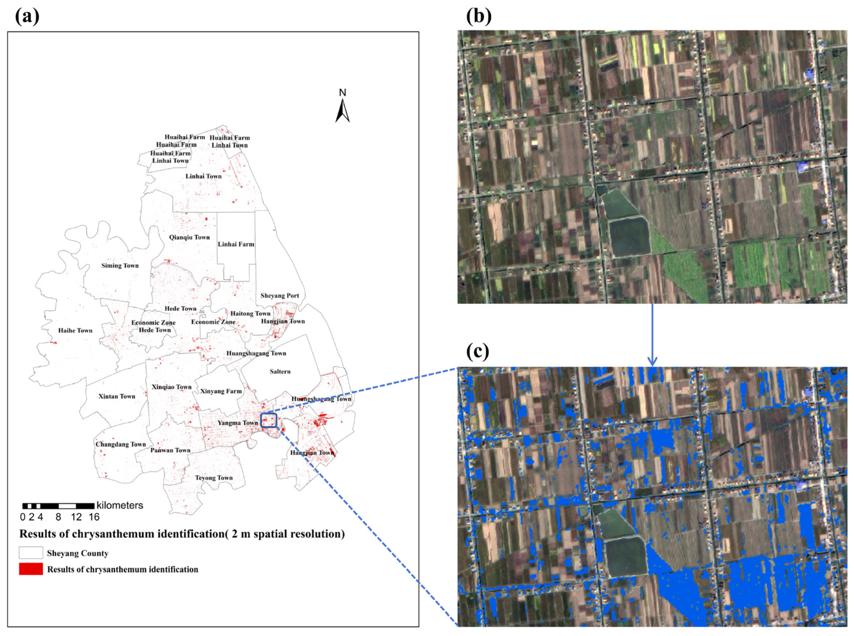 Horticulturae 11 00933 g007