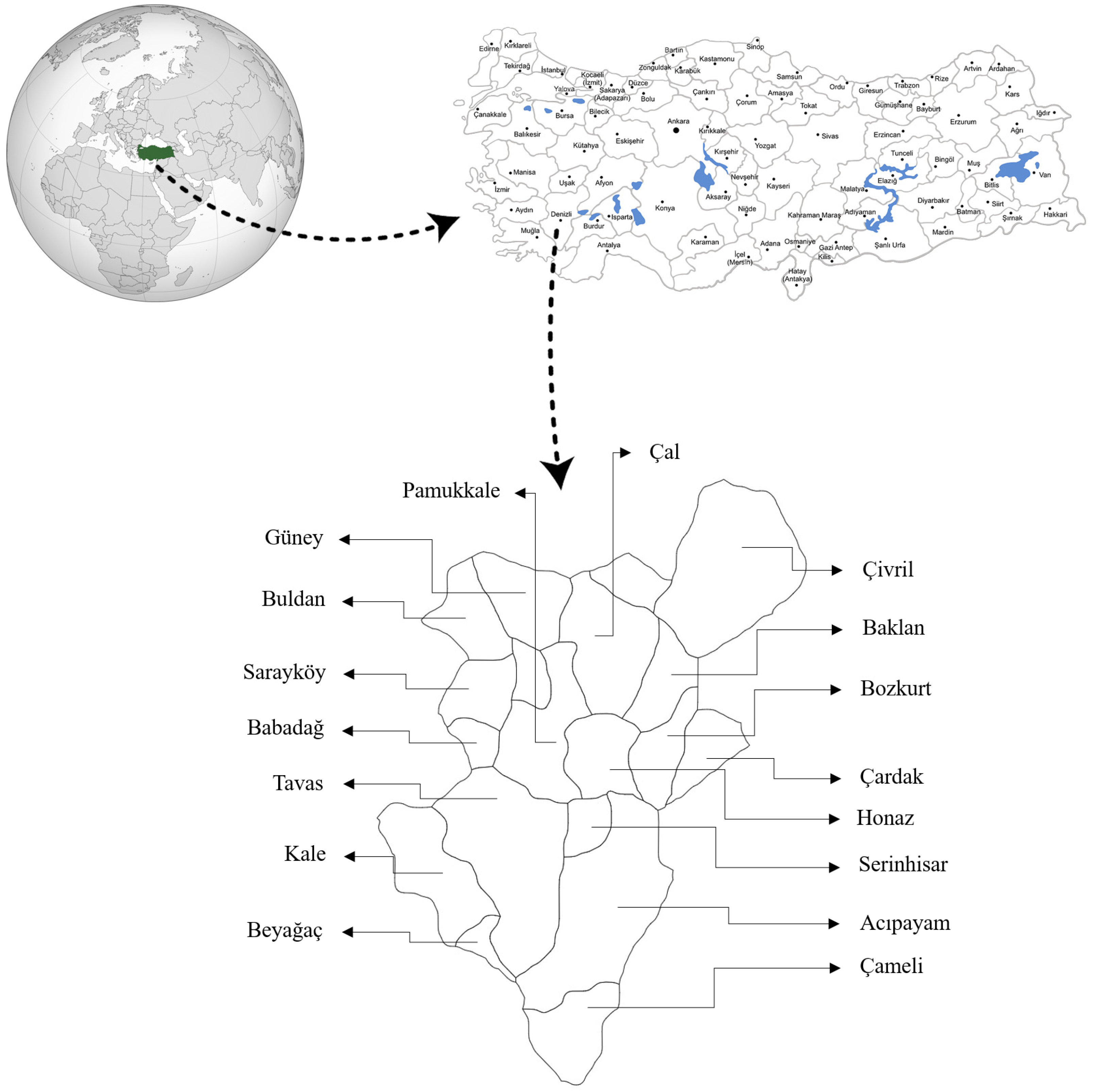 Horticulturae 11 00934 g001 Horticulturae 11 00934 g001