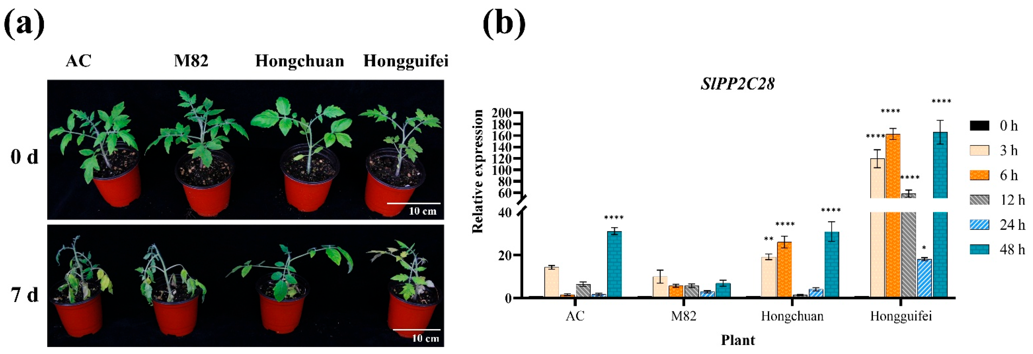 Horticulturae 11 00937 g001 Horticulturae 11 00937 g001