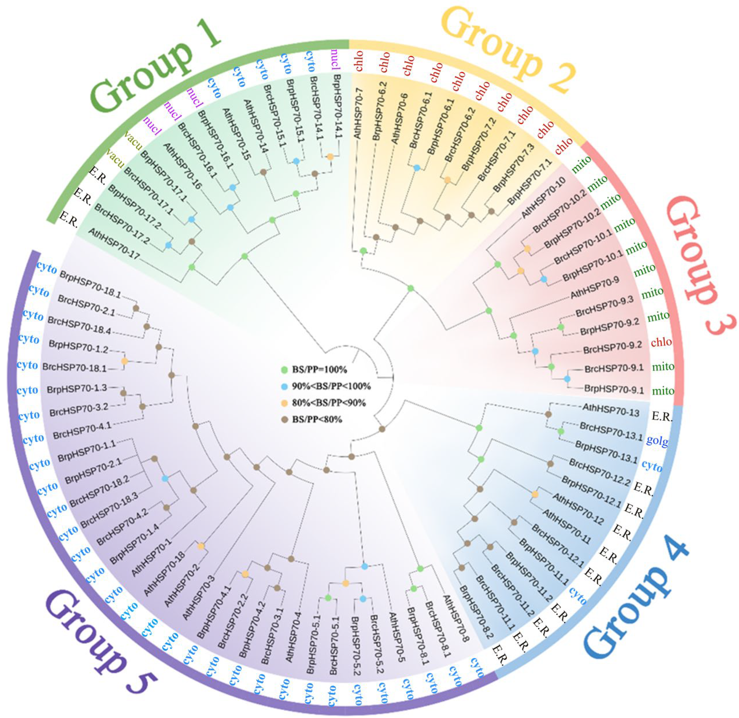 Horticulturae 11 00938 g001 Horticulturae 11 00938 g001