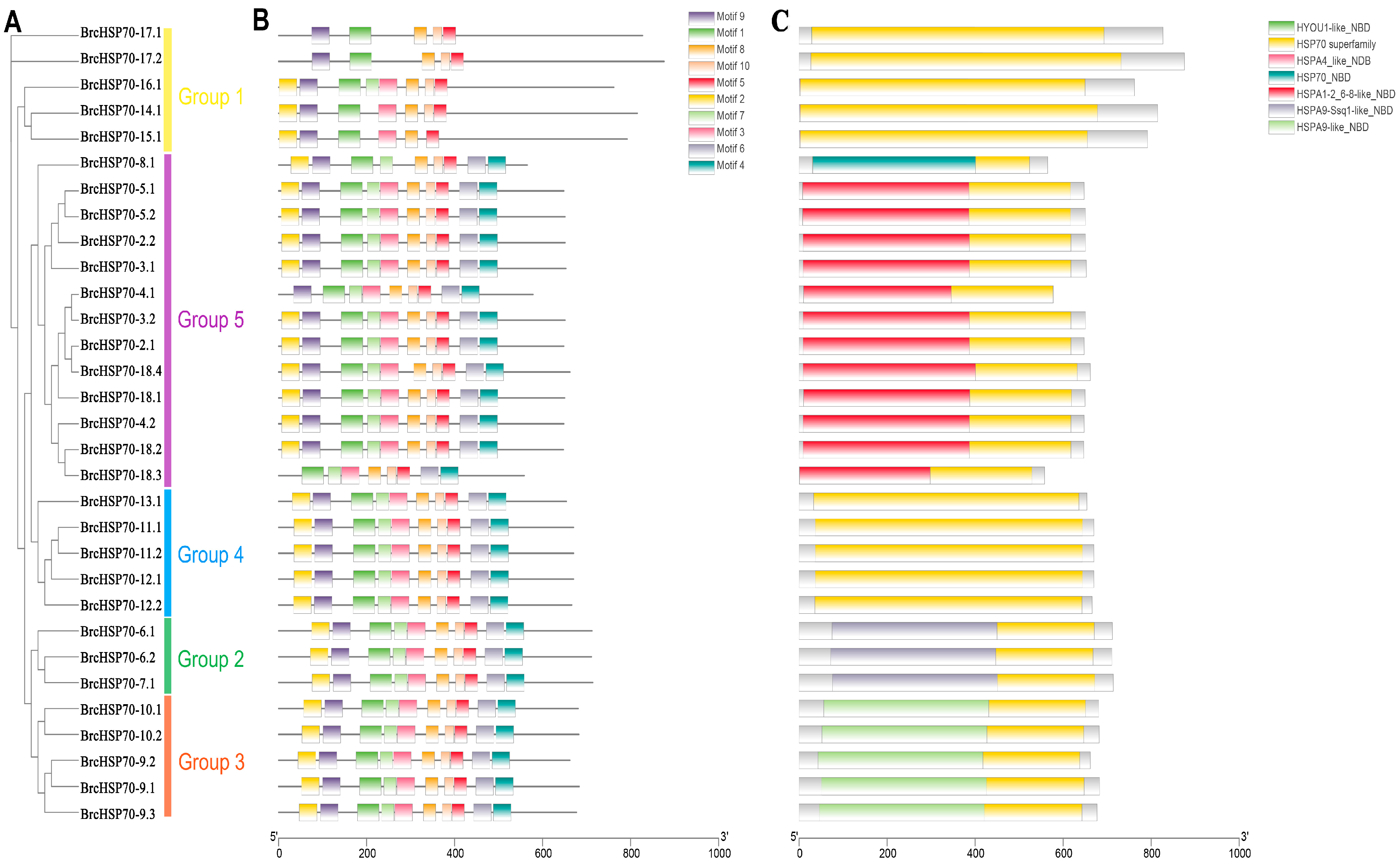 Horticulturae 11 00938 g002 Horticulturae 11 00938 g002