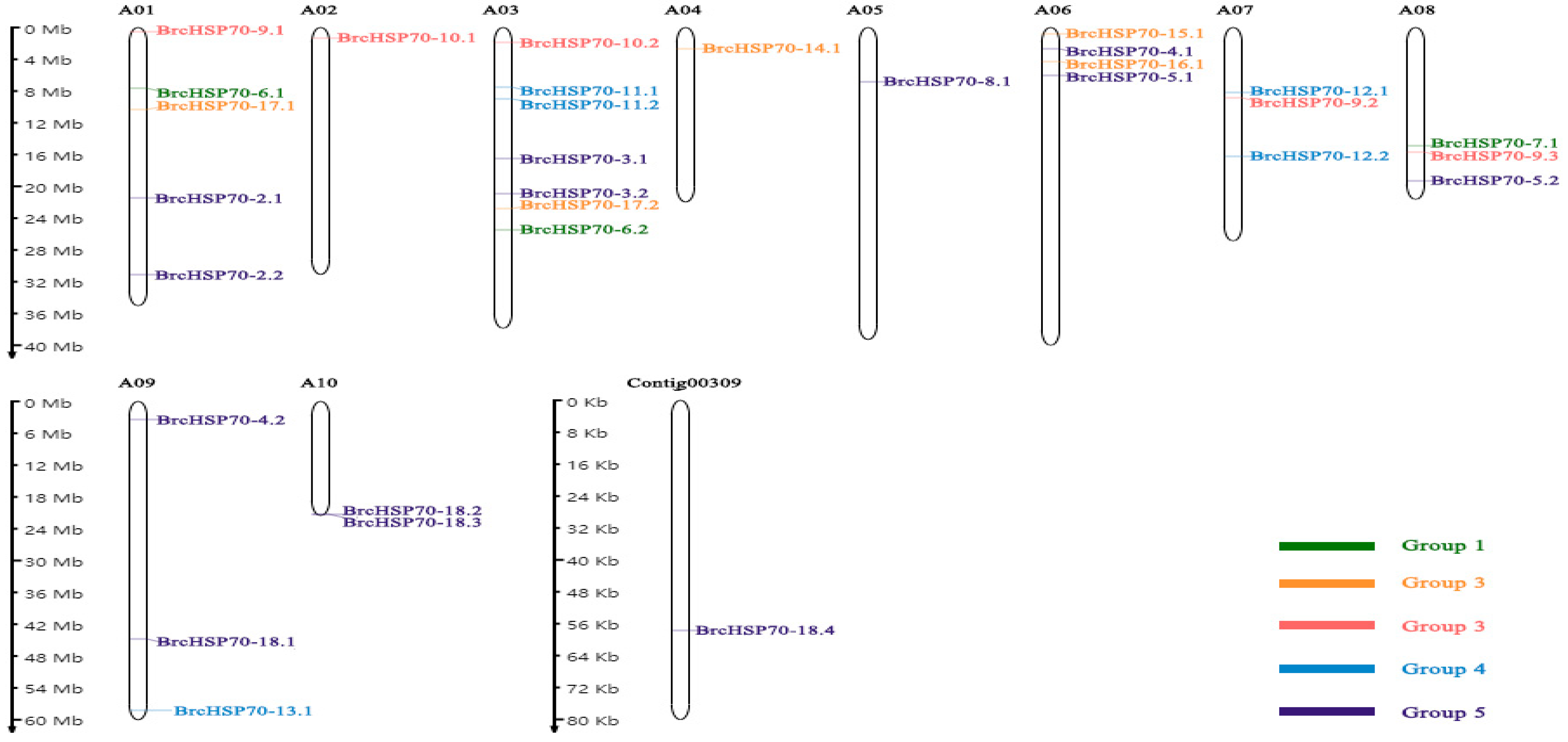 Horticulturae 11 00938 g004 Horticulturae 11 00938 g004