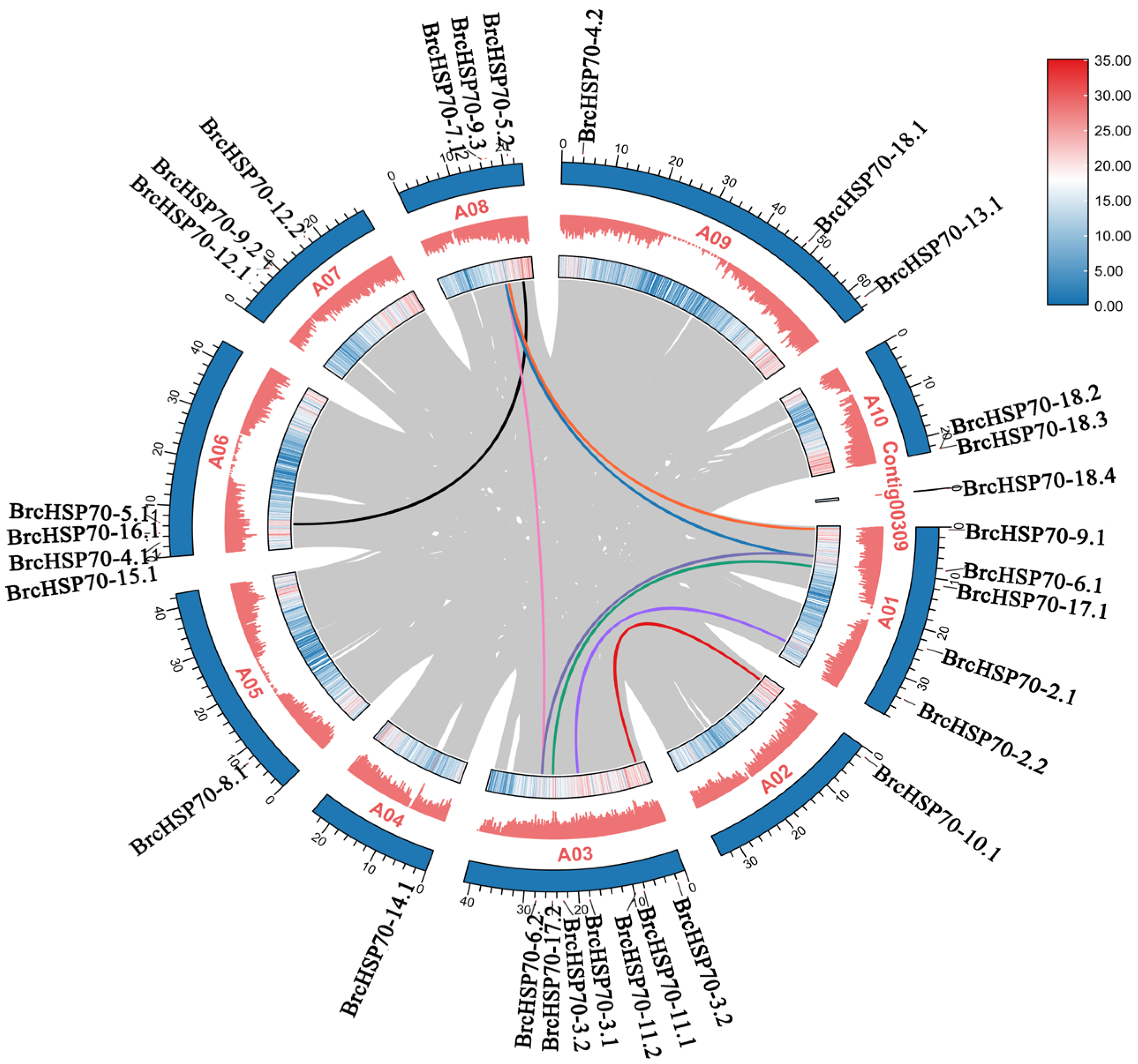 Horticulturae 11 00938 g005 Horticulturae 11 00938 g005