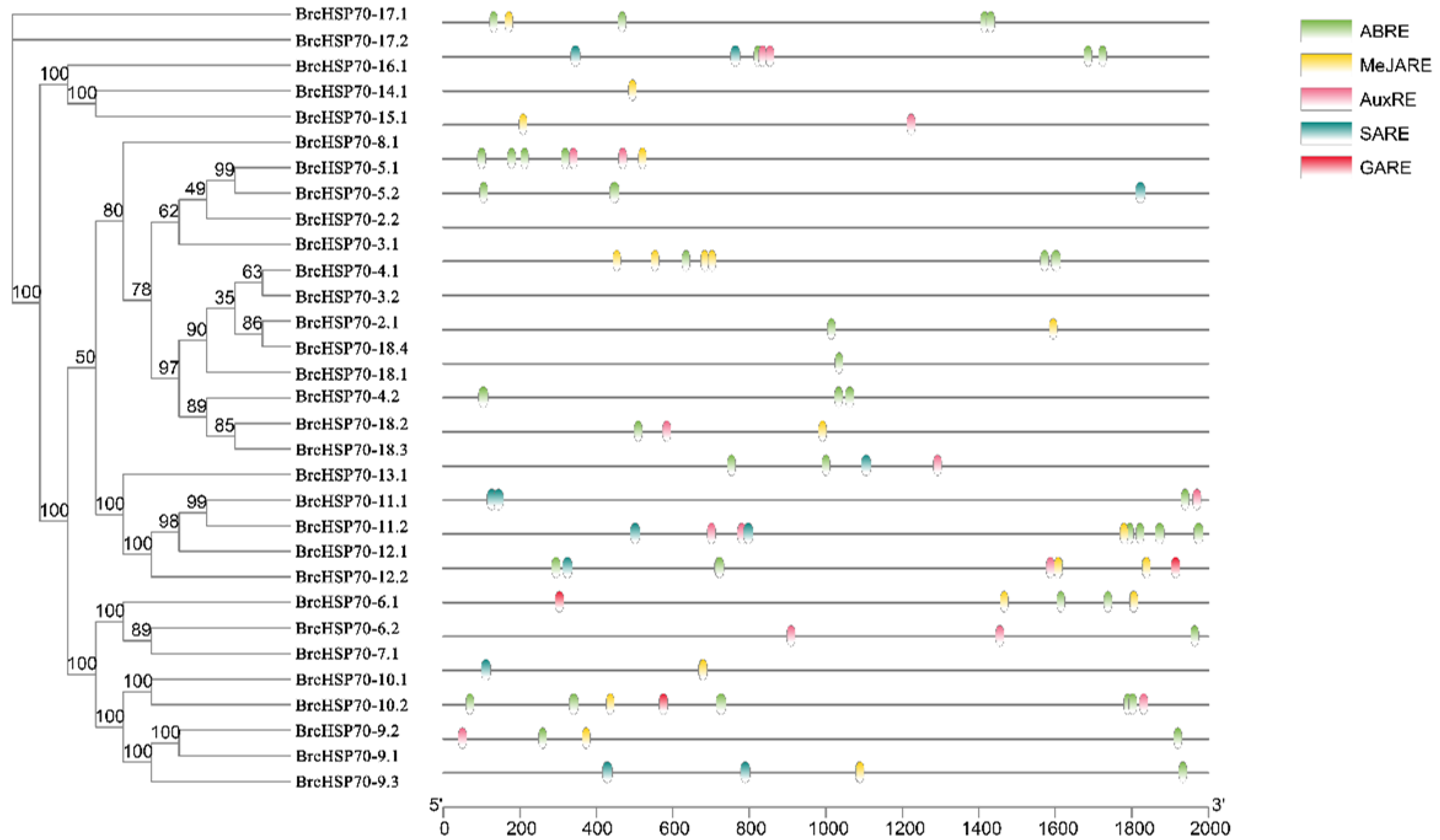 Horticulturae 11 00938 g007 Horticulturae 11 00938 g007
