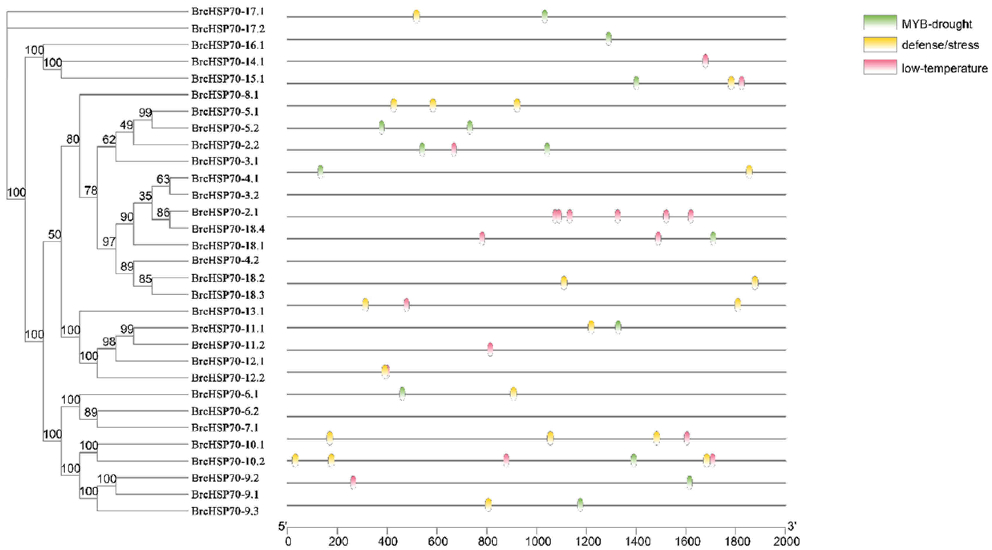 Horticulturae 11 00938 g008 Horticulturae 11 00938 g008
