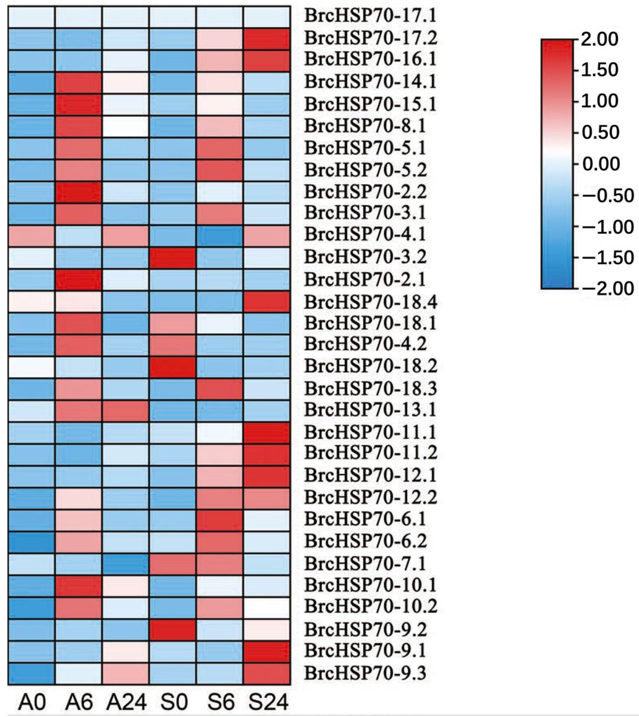 Horticulturae 11 00938 g009 Horticulturae 11 00938 g009
