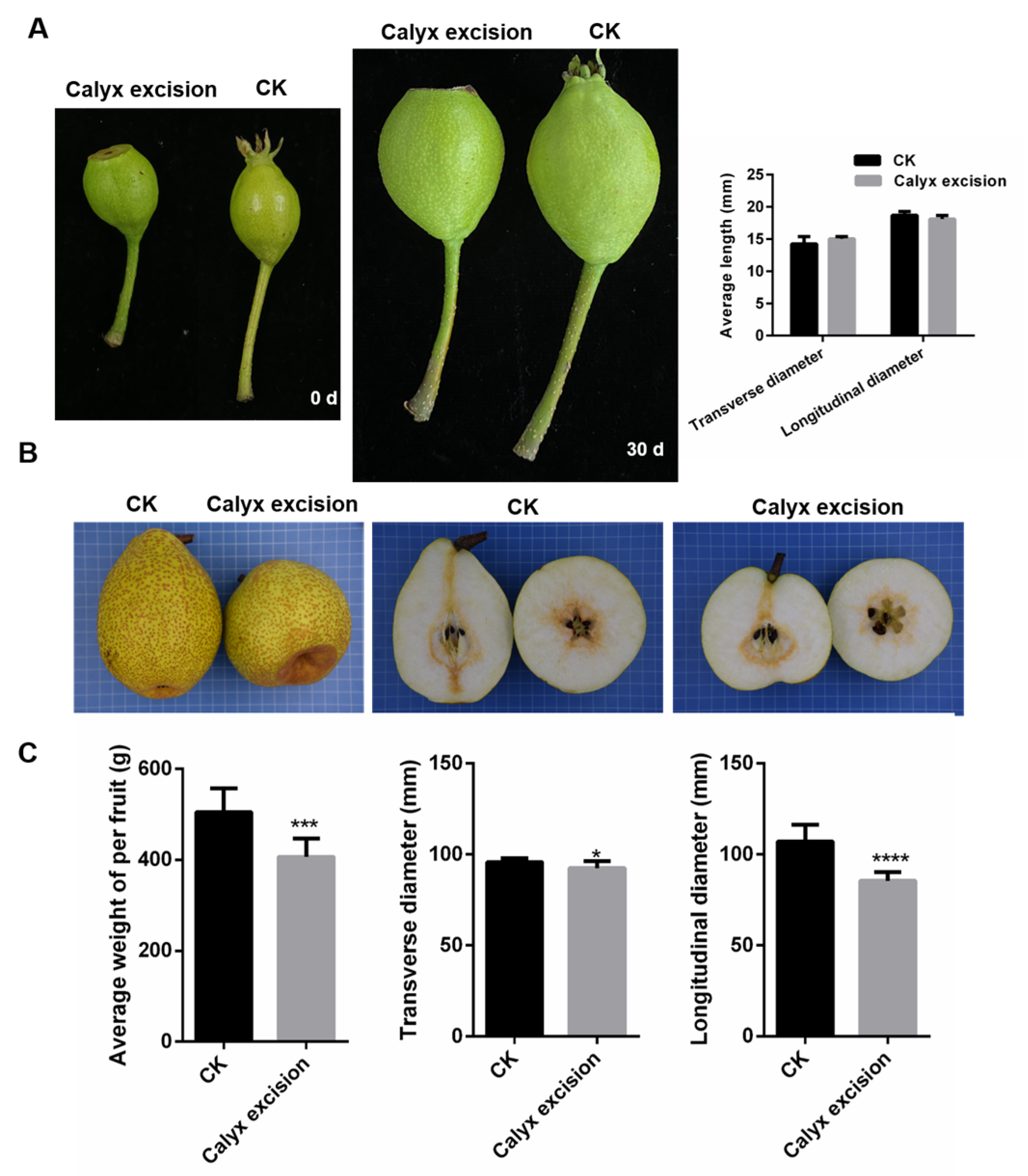 Horticulturae 11 00939 g001 Horticulturae 11 00939 g001
