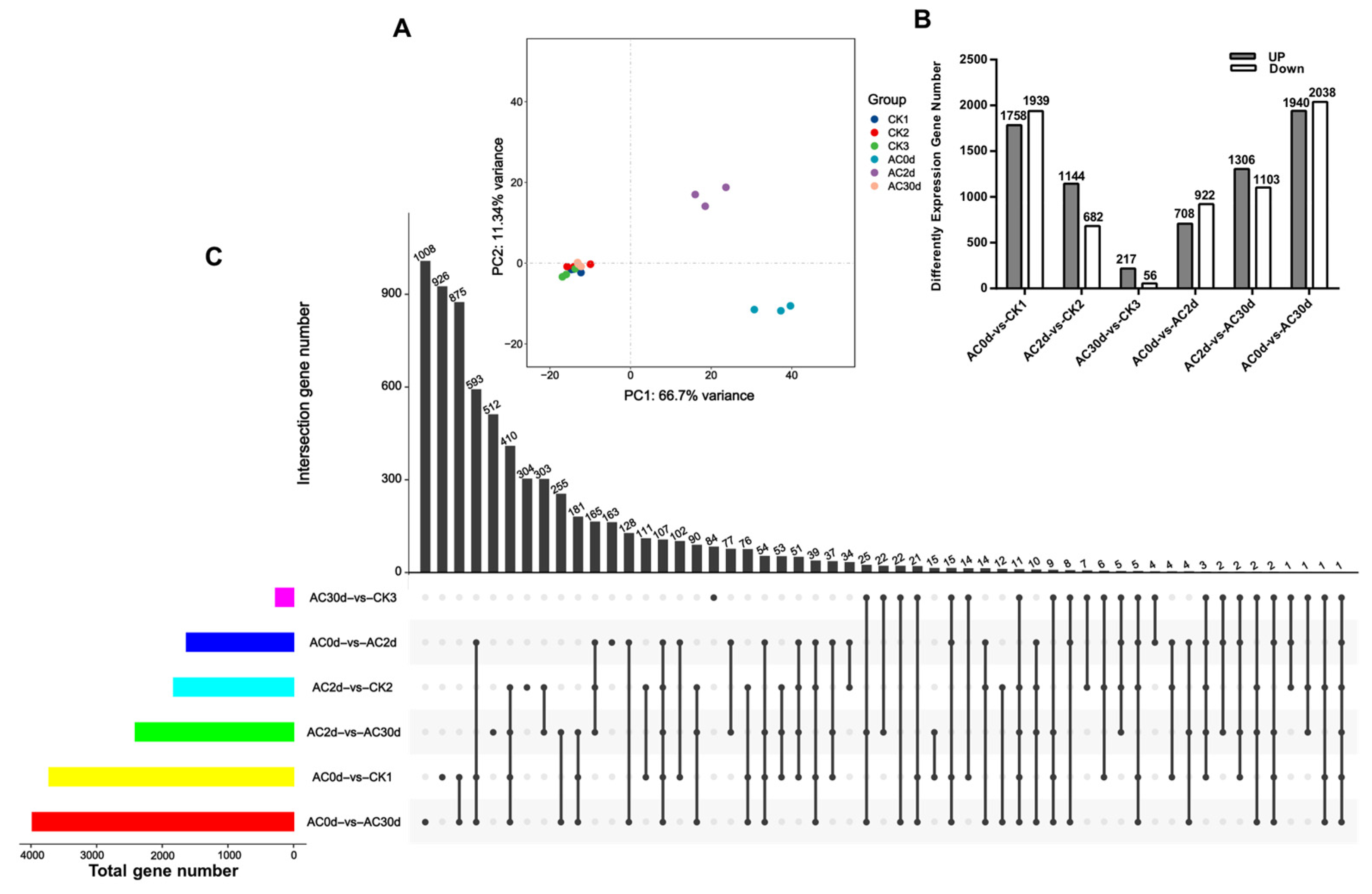 Horticulturae 11 00939 g002 Horticulturae 11 00939 g002