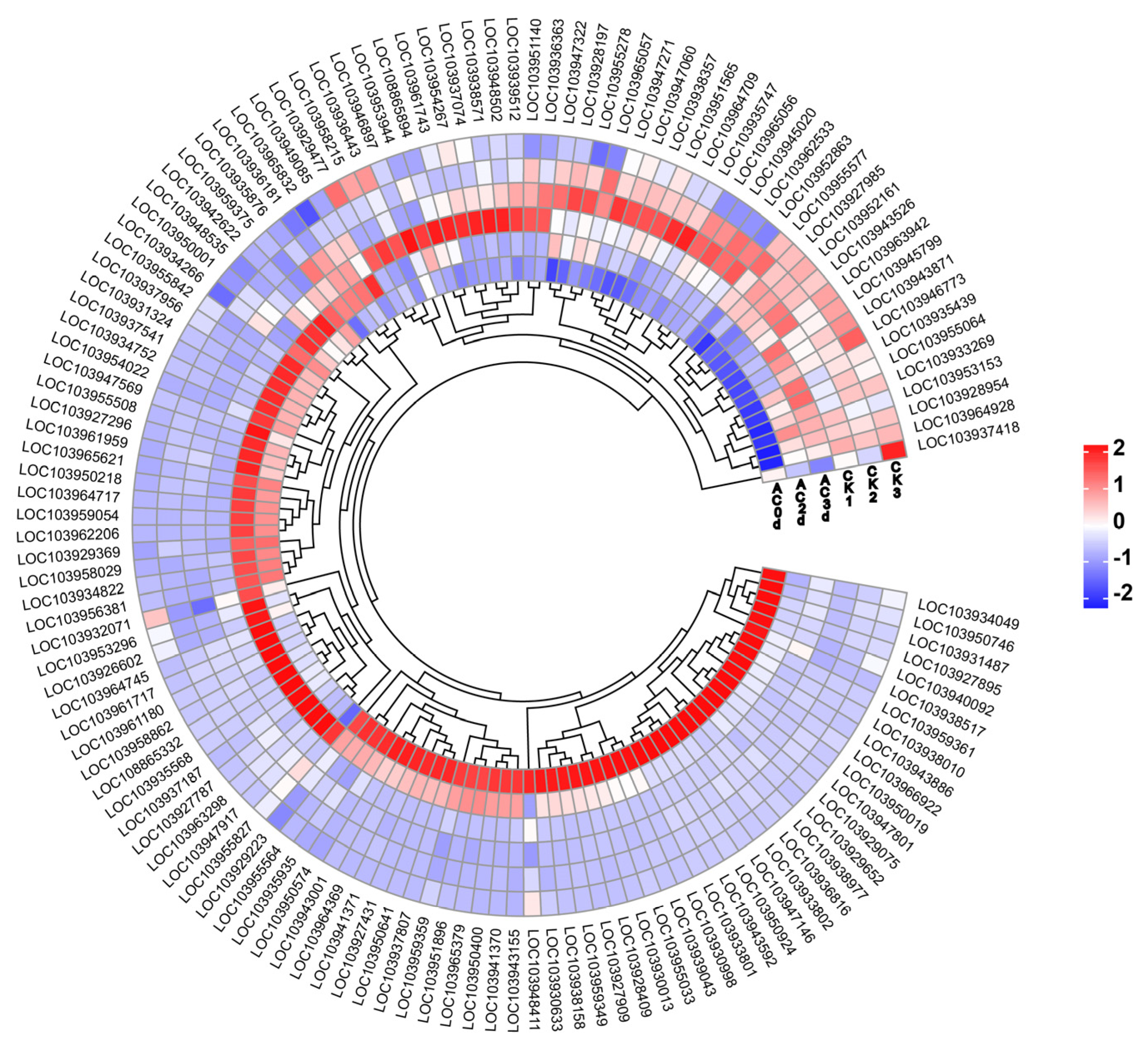 Horticulturae 11 00939 g003 Horticulturae 11 00939 g003