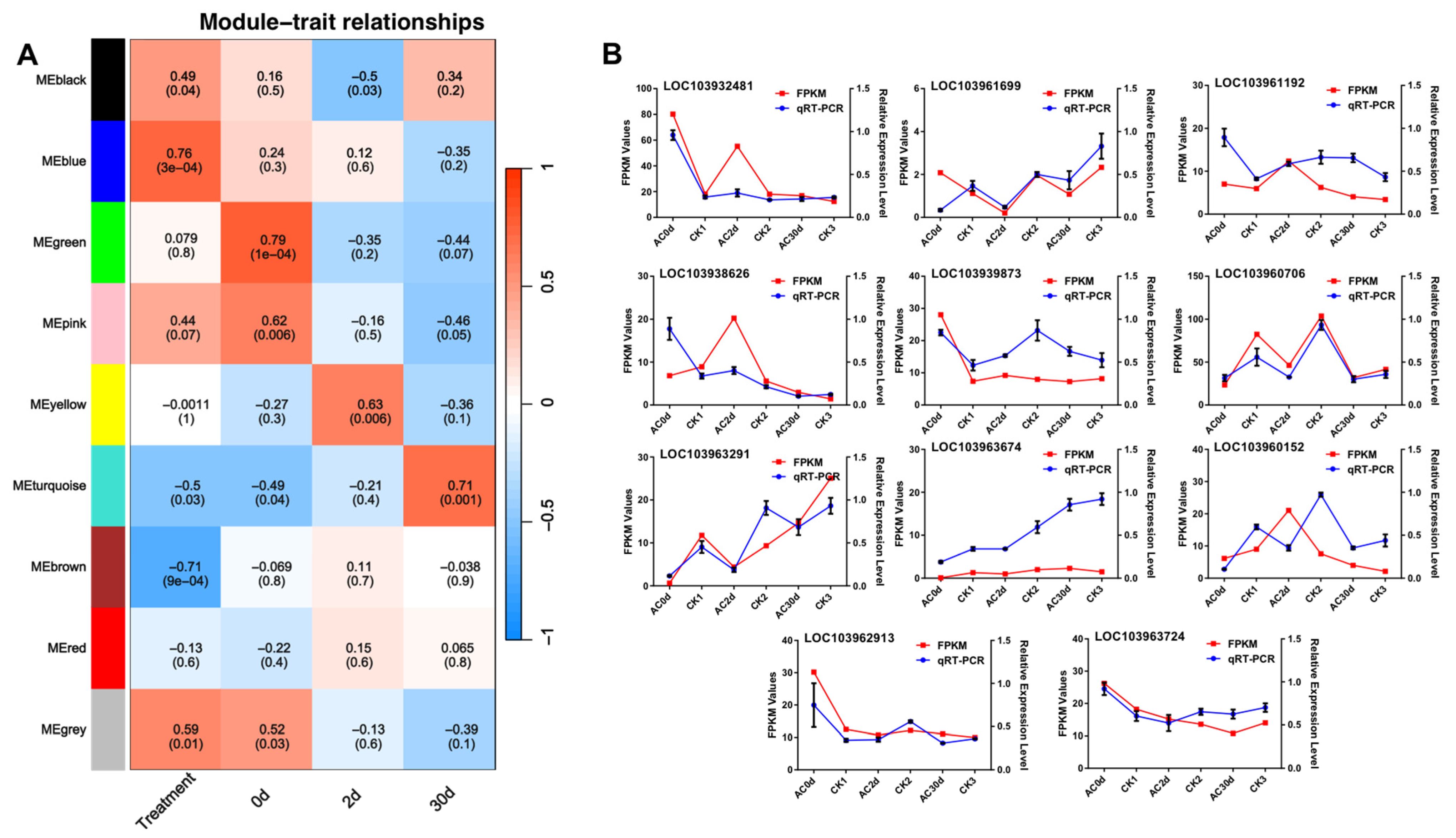 Horticulturae 11 00939 g005 Horticulturae 11 00939 g005