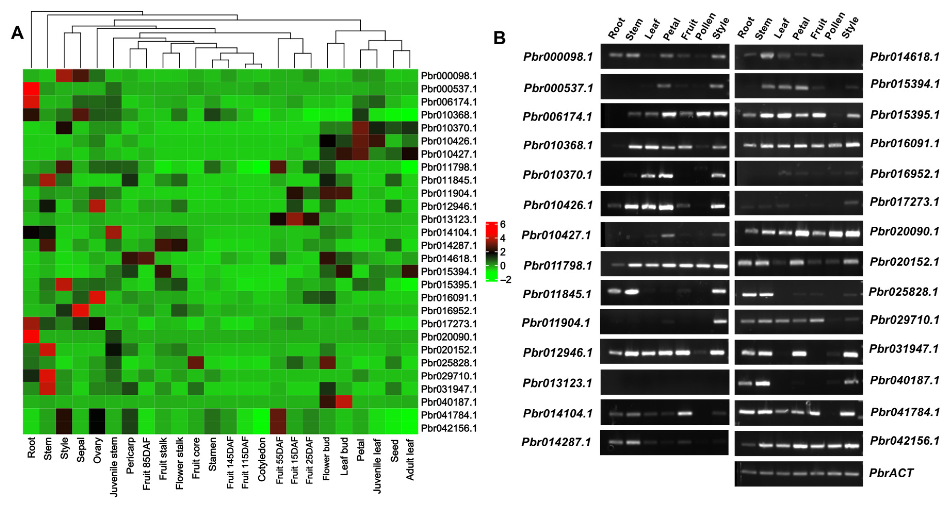 Horticulturae 11 00939 g006 Horticulturae 11 00939 g006