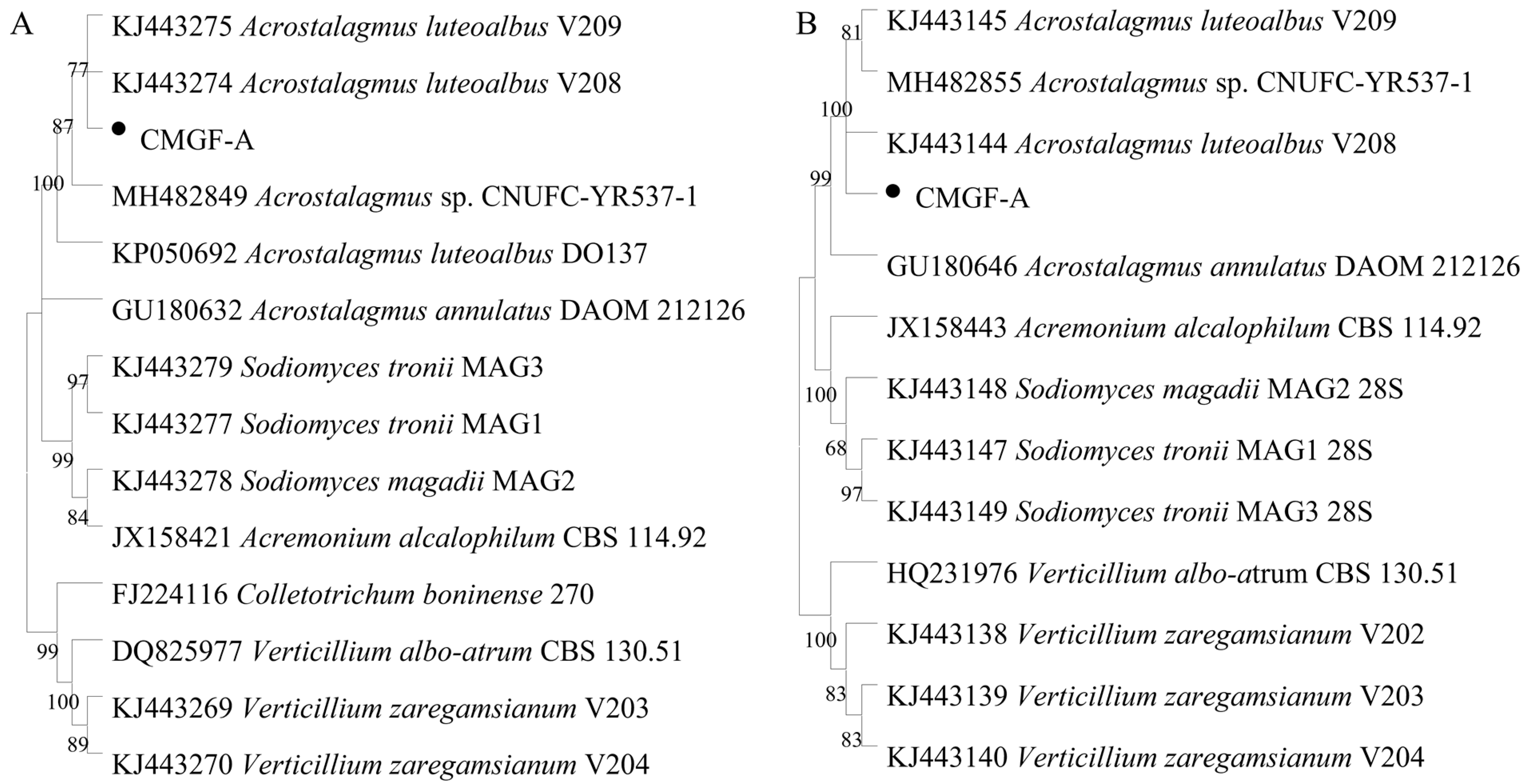 Horticulturae 11 00940 g003 Horticulturae 11 00940 g003