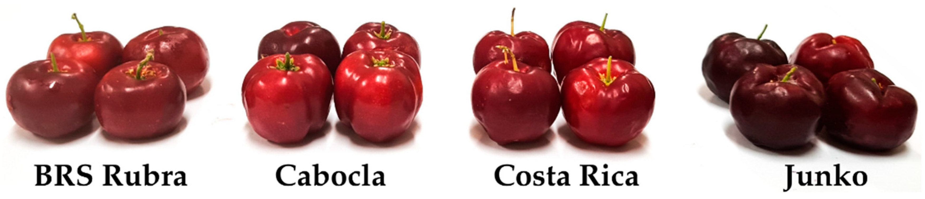 Horticulturae 11 00941 g001