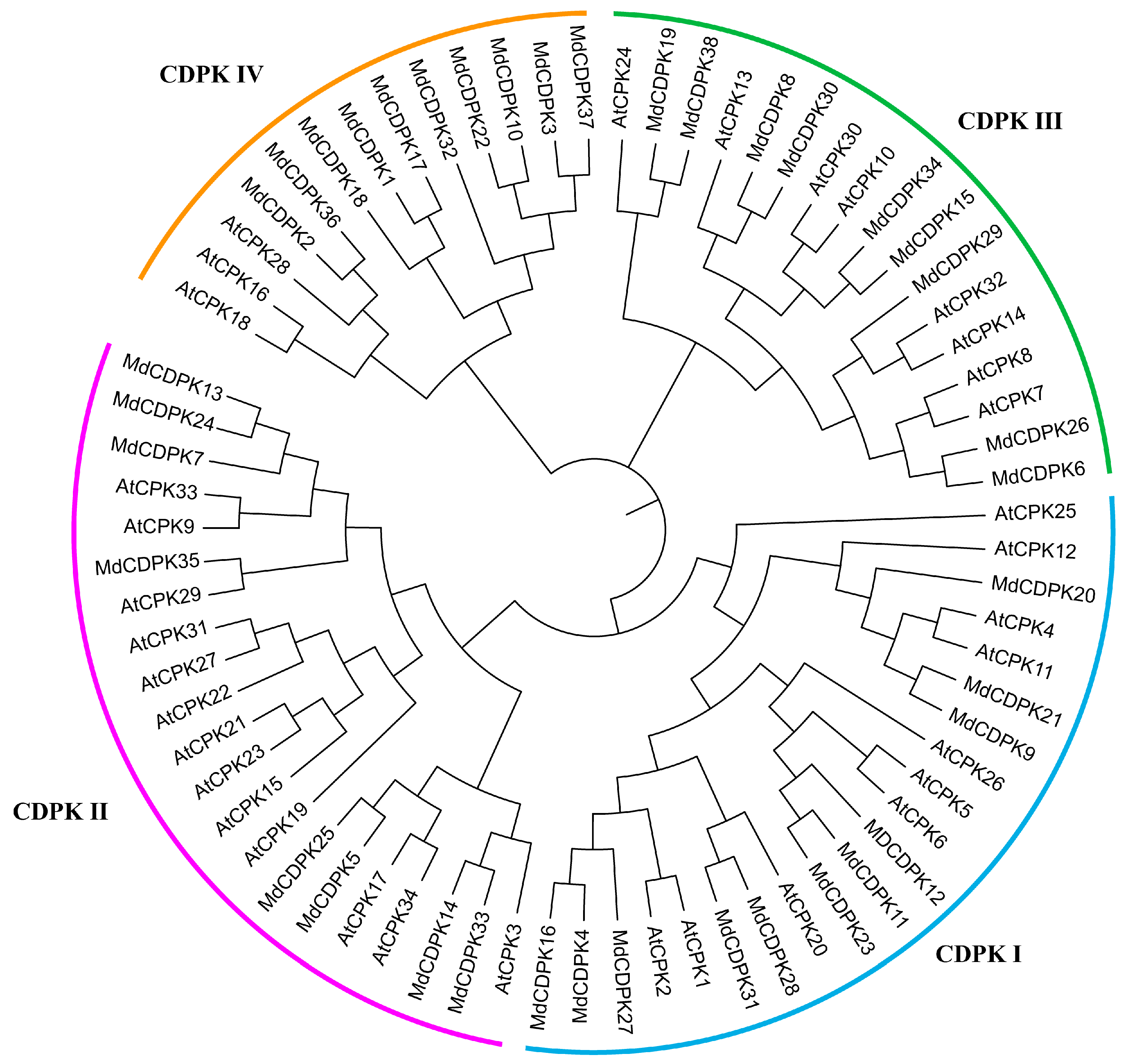 Horticulturae 11 00942 g002