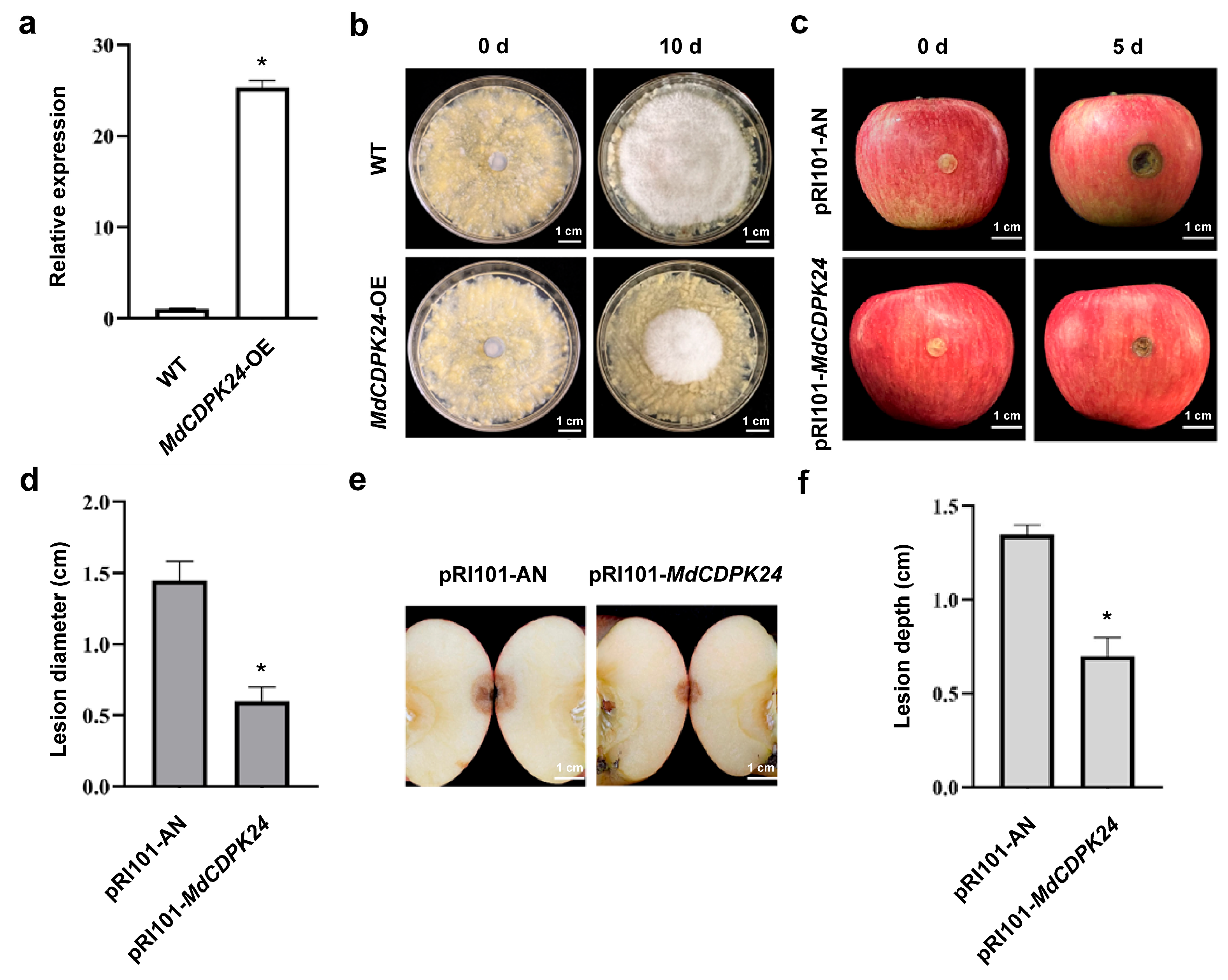 Horticulturae 11 00942 g006