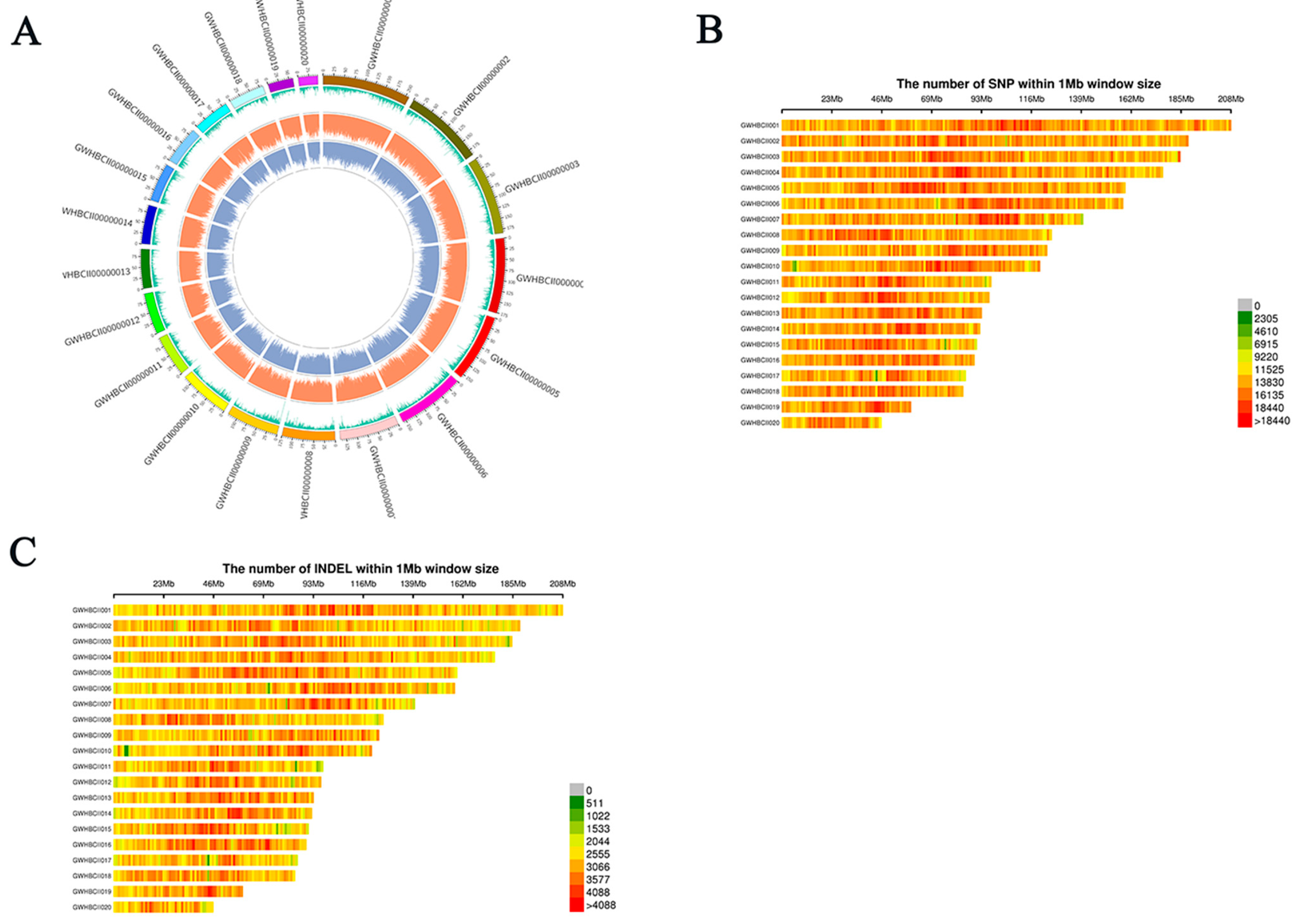 Horticulturae 11 00944 g002