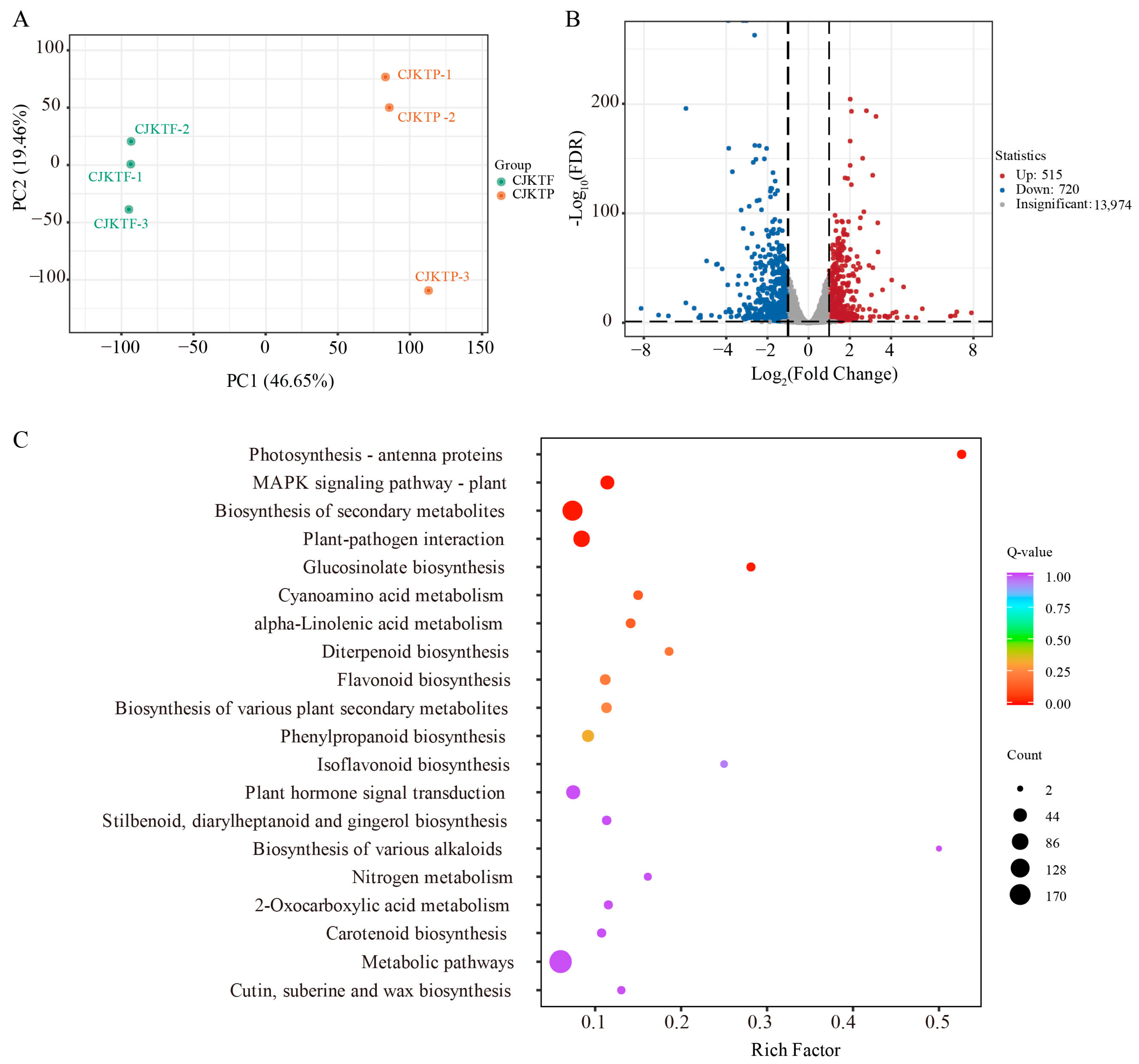 Horticulturae 11 00945 g004 Horticulturae 11 00945 g004