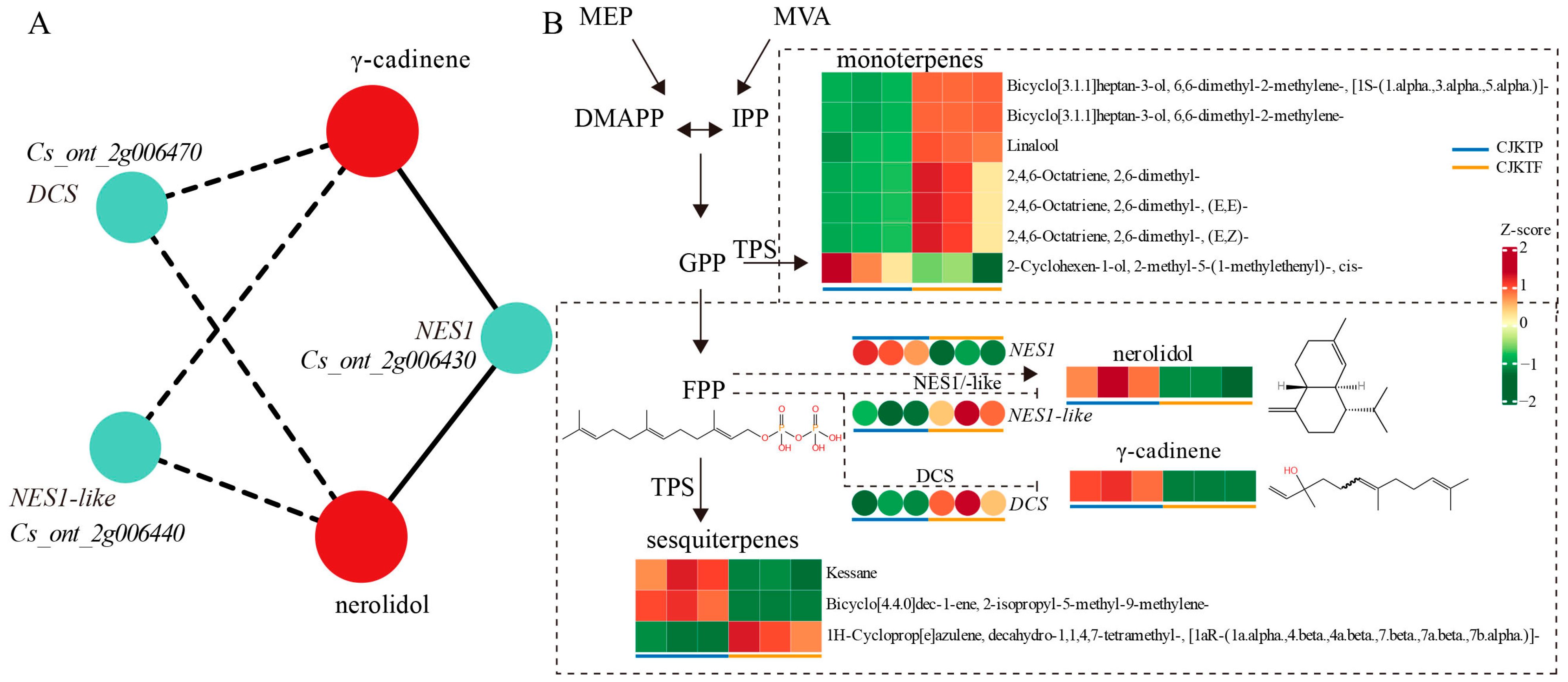 Horticulturae 11 00945 g005 Horticulturae 11 00945 g005
