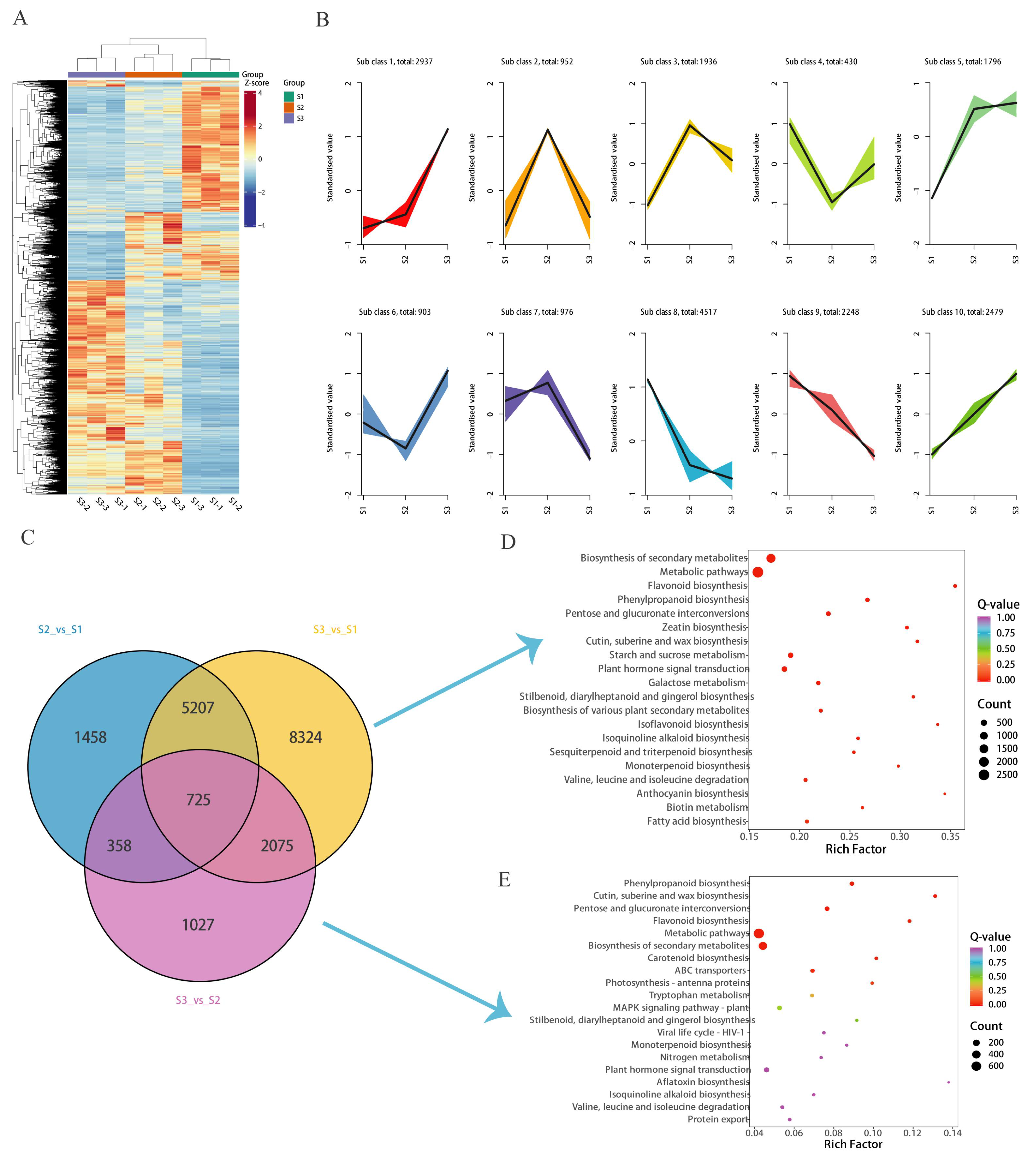 Horticulturae 11 00948 g004