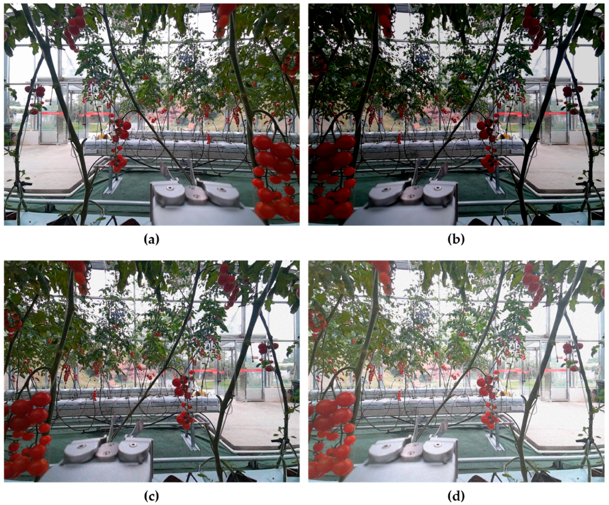 Horticulturae 11 00949 g002 Horticulturae 11 00949 g002