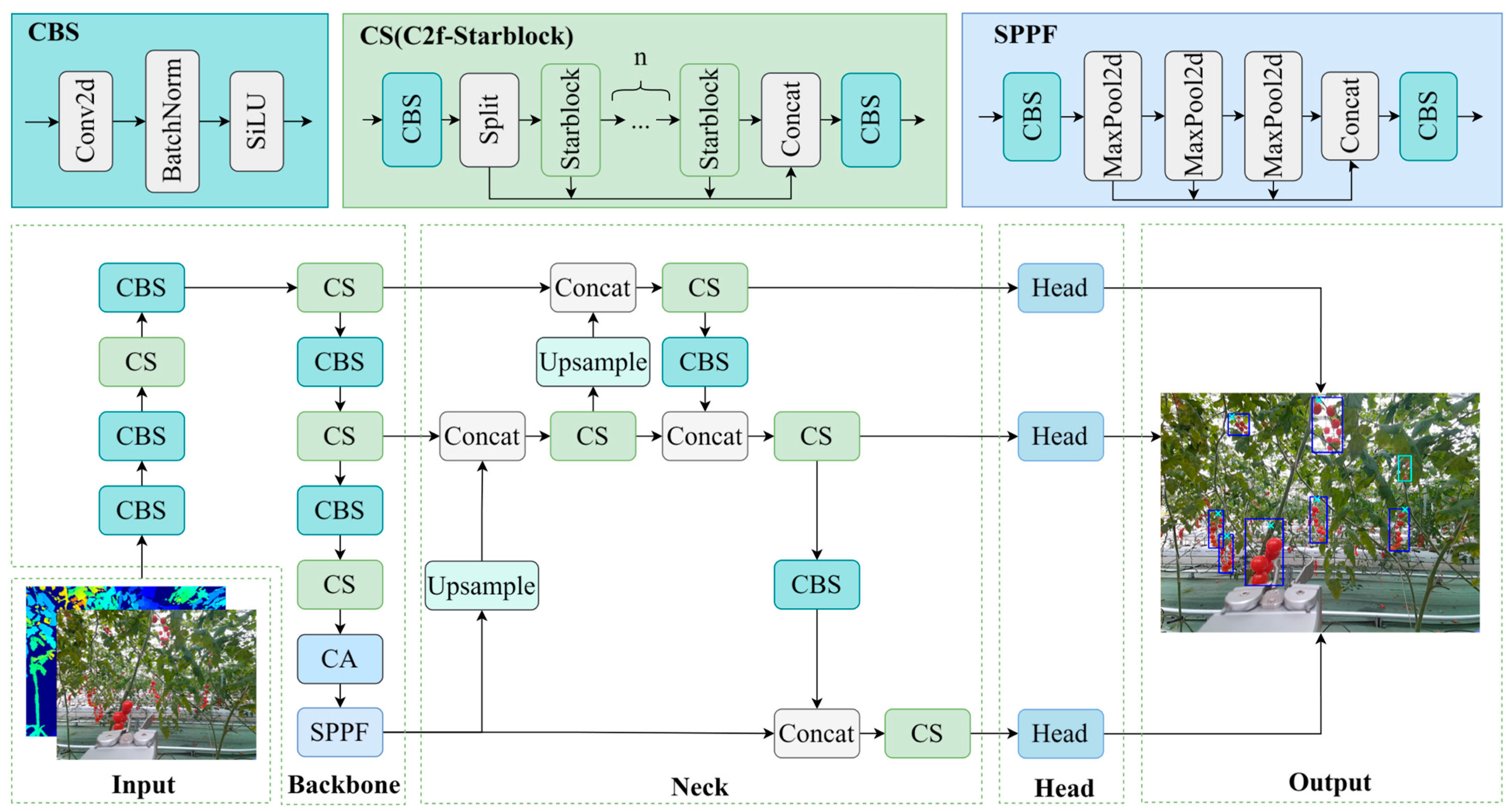 Horticulturae 11 00949 g004 Horticulturae 11 00949 g004
